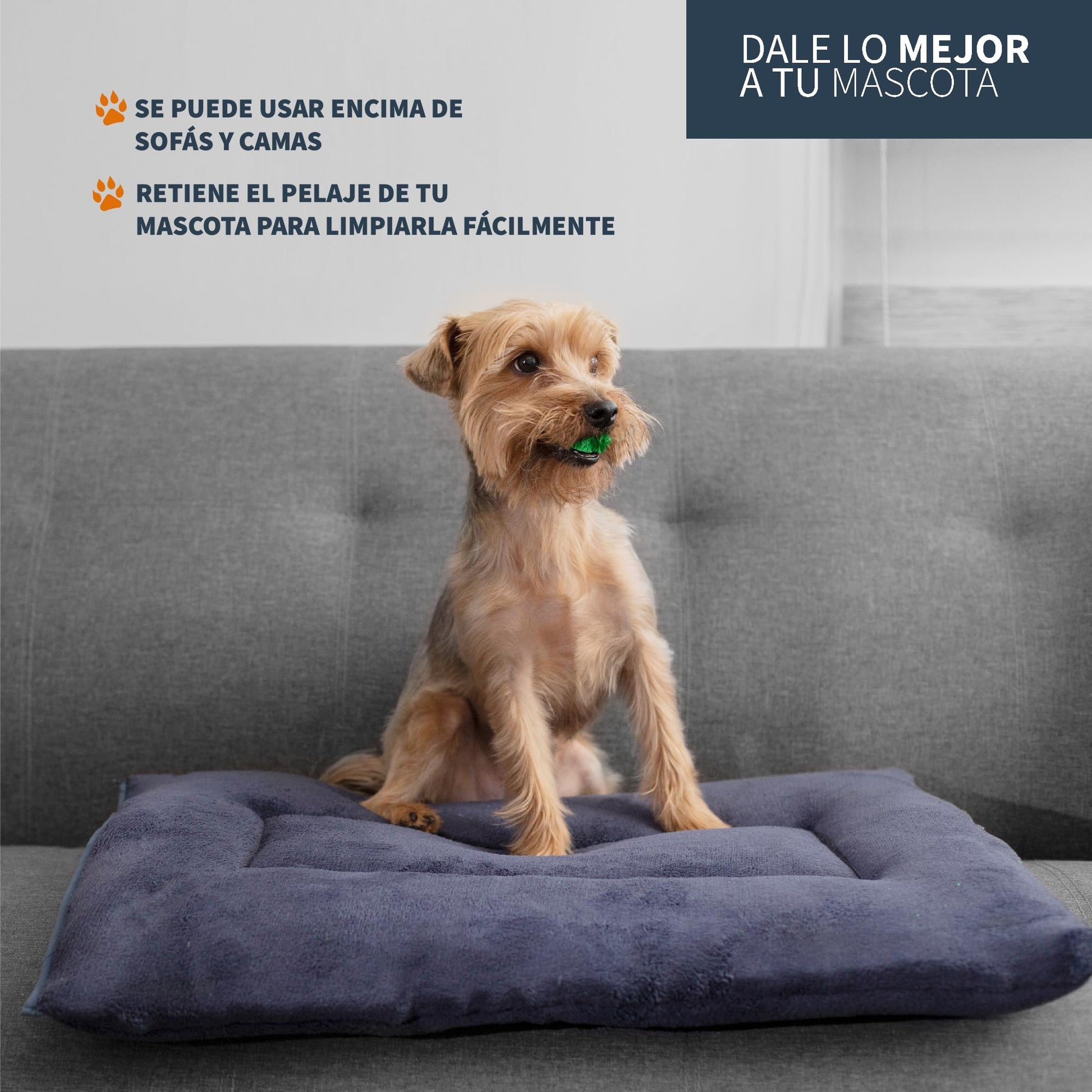 Cama para Mascotas PET TO BED Marino Suave Esponjosa Térmica Lavable