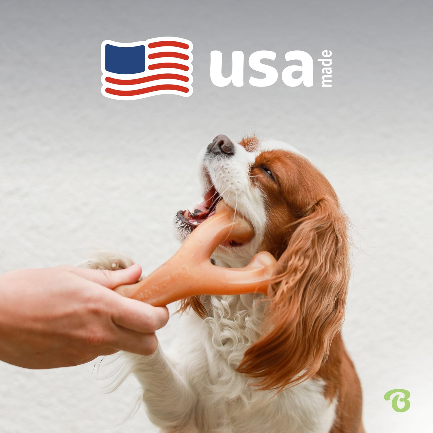 Benebone - Juguete masticable para perro con sabor real, fabricado en Estados Unidos, Chicken, Mediano