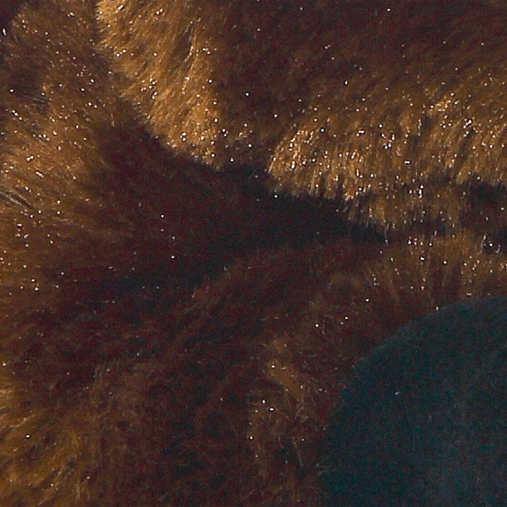 Aurora MINI FLOPSIE 8 BROWN TORO BULL by Aurora