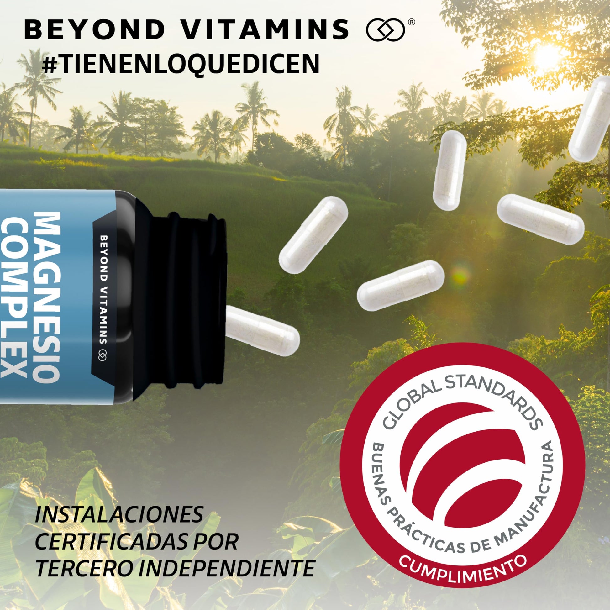 Beyond Vitamins | Magnesio Complex | CON 4 MAGNESIOS: Citrato, Glicinato, Gluconato y Óxido de Magnesio| 710 mg Puro por Cápsula | Suplemento Alimenticio Sin Rellenos-60 cápsulas