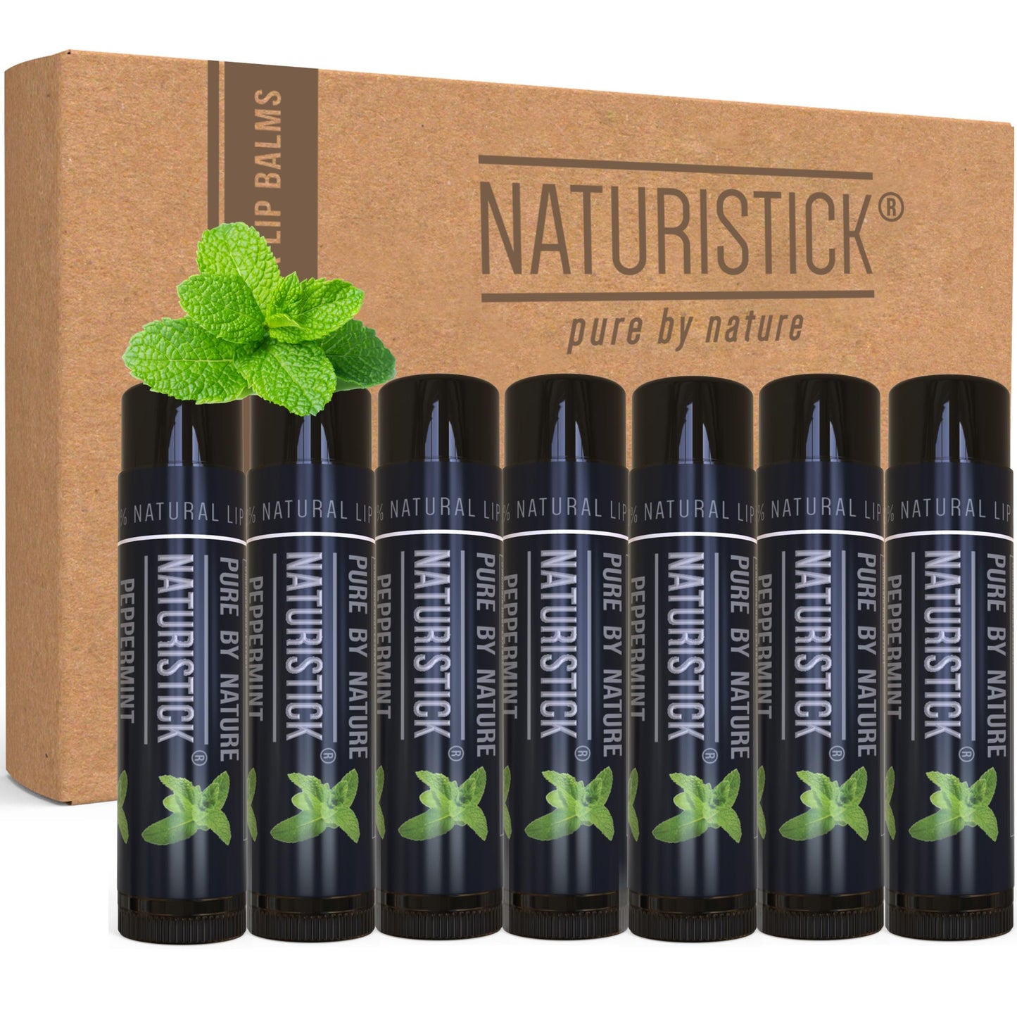Juego de regalo de bálsamo labial natural de Naturistick, el mejor palillo curativo para labios secos, agrietados, con aloe vera, vitamina E, aceite de coco. Para hombres, mujeres y niños. Fabricado en EE.UU. (menta negra)