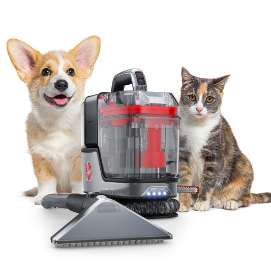 Hoover ONEPWR CleanSlate - Máquina de limpieza de alfombras portátiles inalámbricas + máquina de limpieza de puntos de tapicería, potente succión, herramientas versátiles, detalles de automóviles y