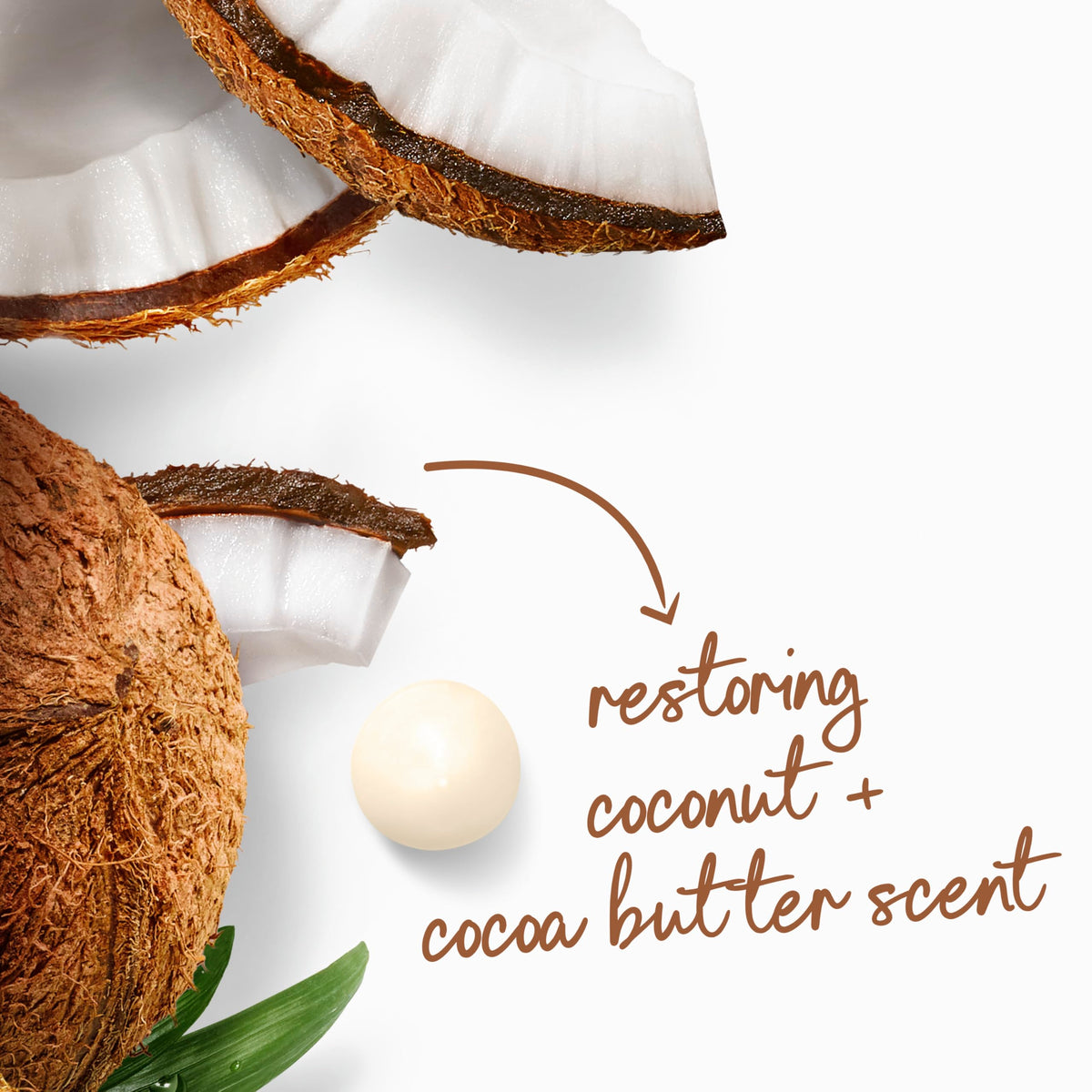 Dove Purely Pampering Body Wash Coconut Milk with Jasmine Petals 34 fl oz