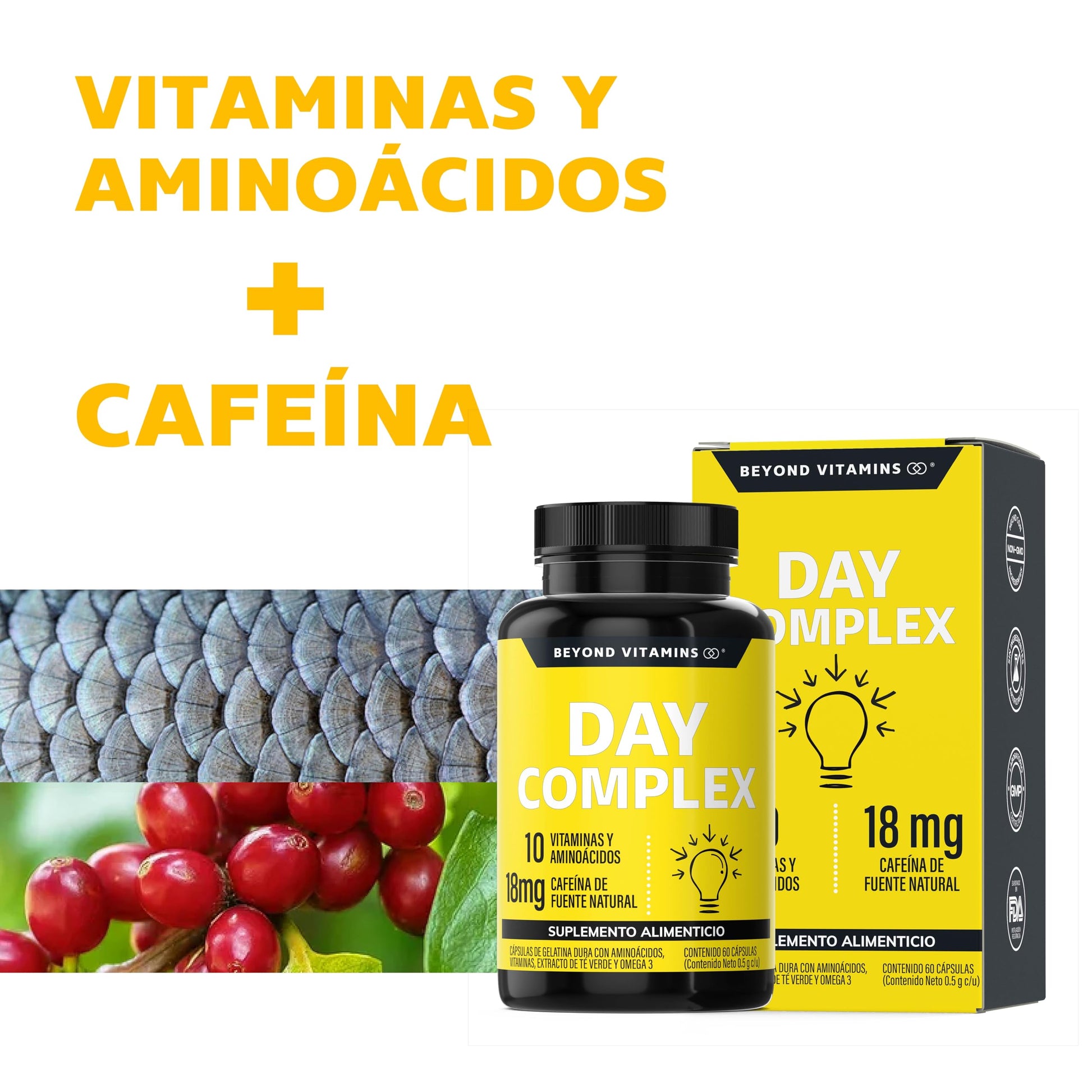 Suplemento Nootrópico Day Complex con Vitaminas y Minerales Sin Azúcar en Cápsulas