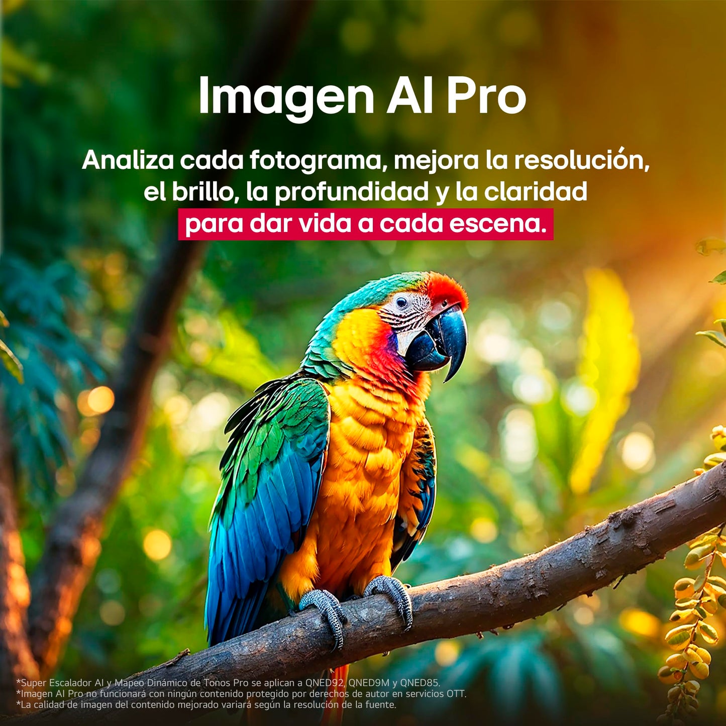 LG Pantalla 85 Pulgadas QNED EVO AI QNED92 4K Smart TV webOS 2025 85QNED92ASA |Sistema Operativo webOS|Identificación de Voz AI |120Hz|Dynamic QNED Color|Dolby Atmos & Dolby Vision Channels