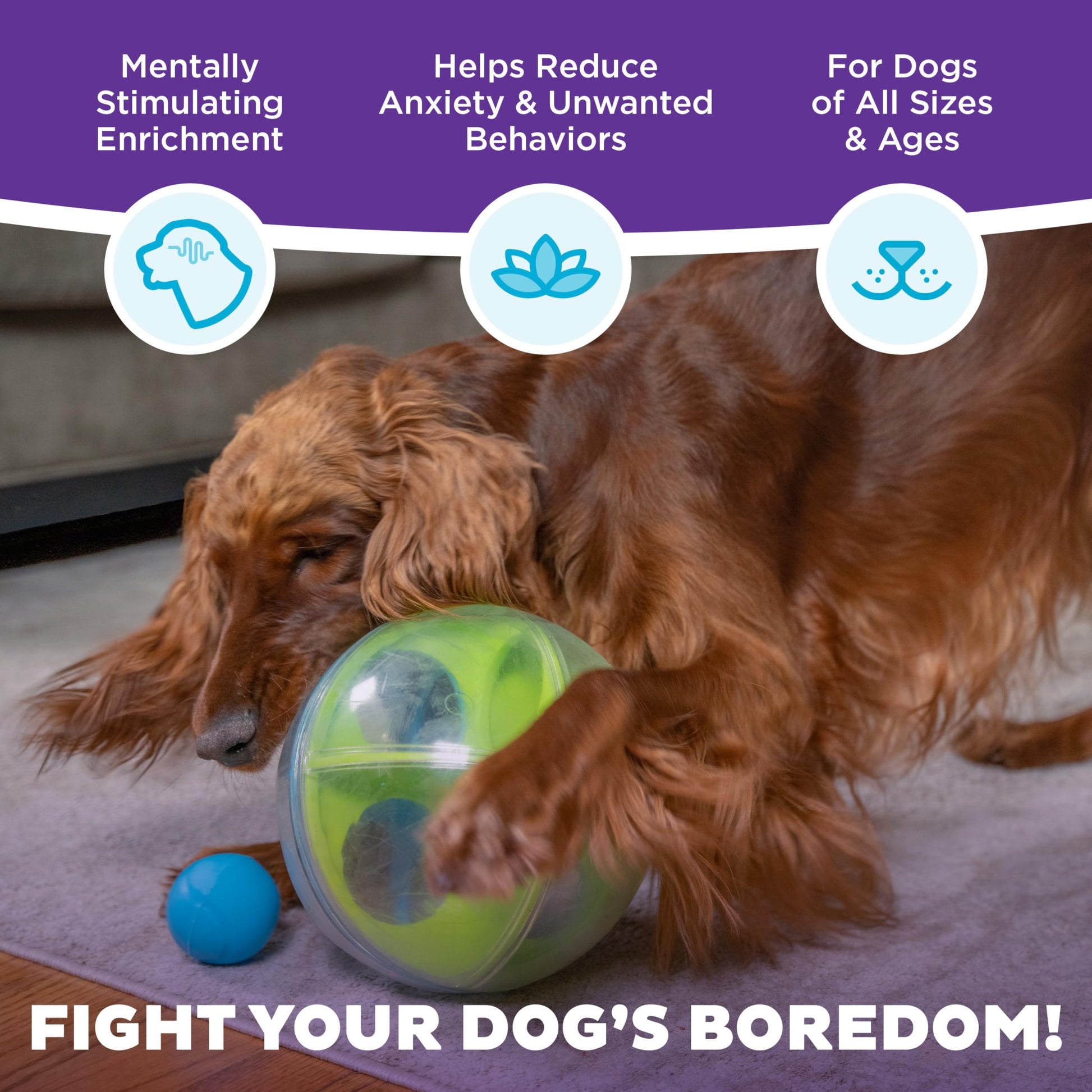 Rompecabezas Interactivo Outward Hound Nina Ottosson A-Maze Ball Laberinto para Perros