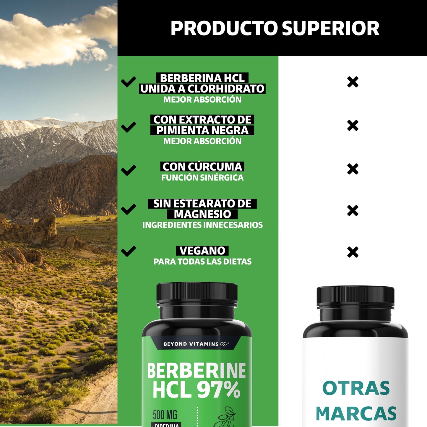 Berberina HCL 97% | 500mg de Berberina Clorhidrato, potenciado con Piperina al 97% y Cúrcuma | Berberine 60 cápsulas