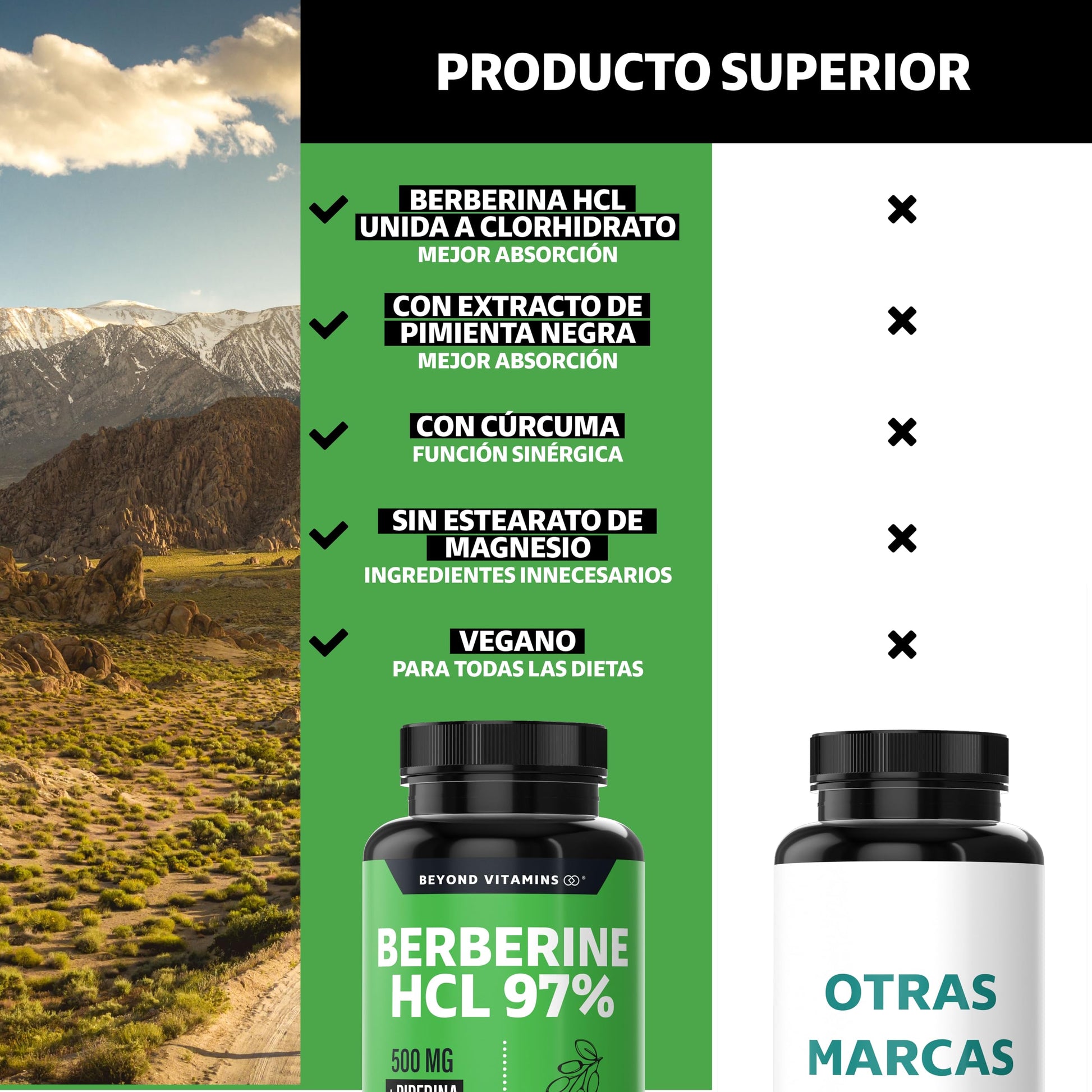Berberina HCL 97% | 500mg de Berberina Clorhidrato, potenciado con Piperina al 97% y Cúrcuma | Berberine 60 cápsulas