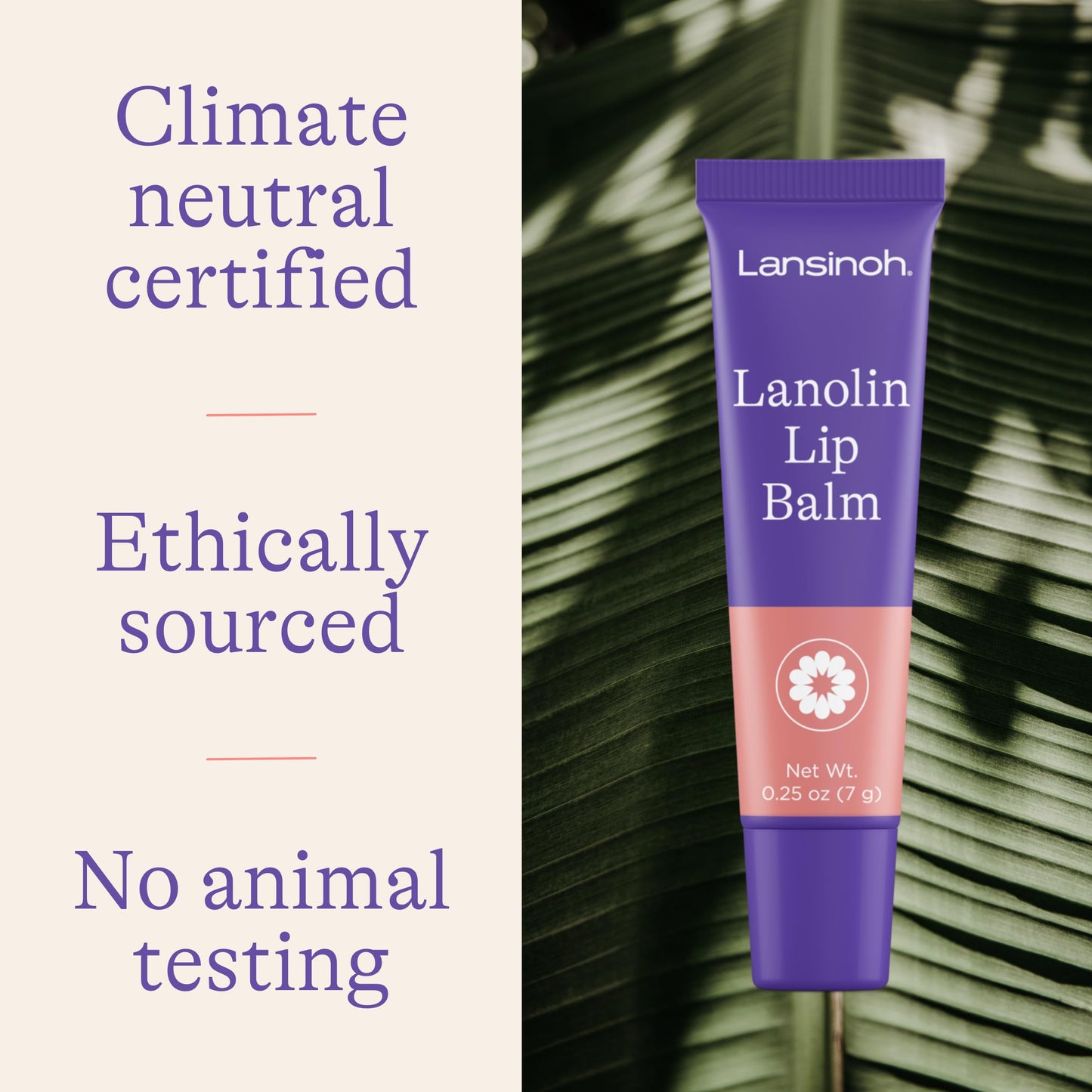Lansinoh Lanolin Lip Balm, Pack of 4