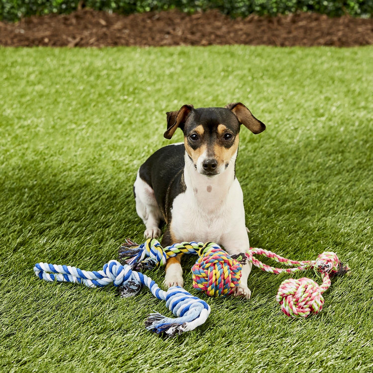 Juguetes De Cuerda Para Mascotas Otterly Pets Azul Conjunto De 4 Para Perro Pequeño A Mediano