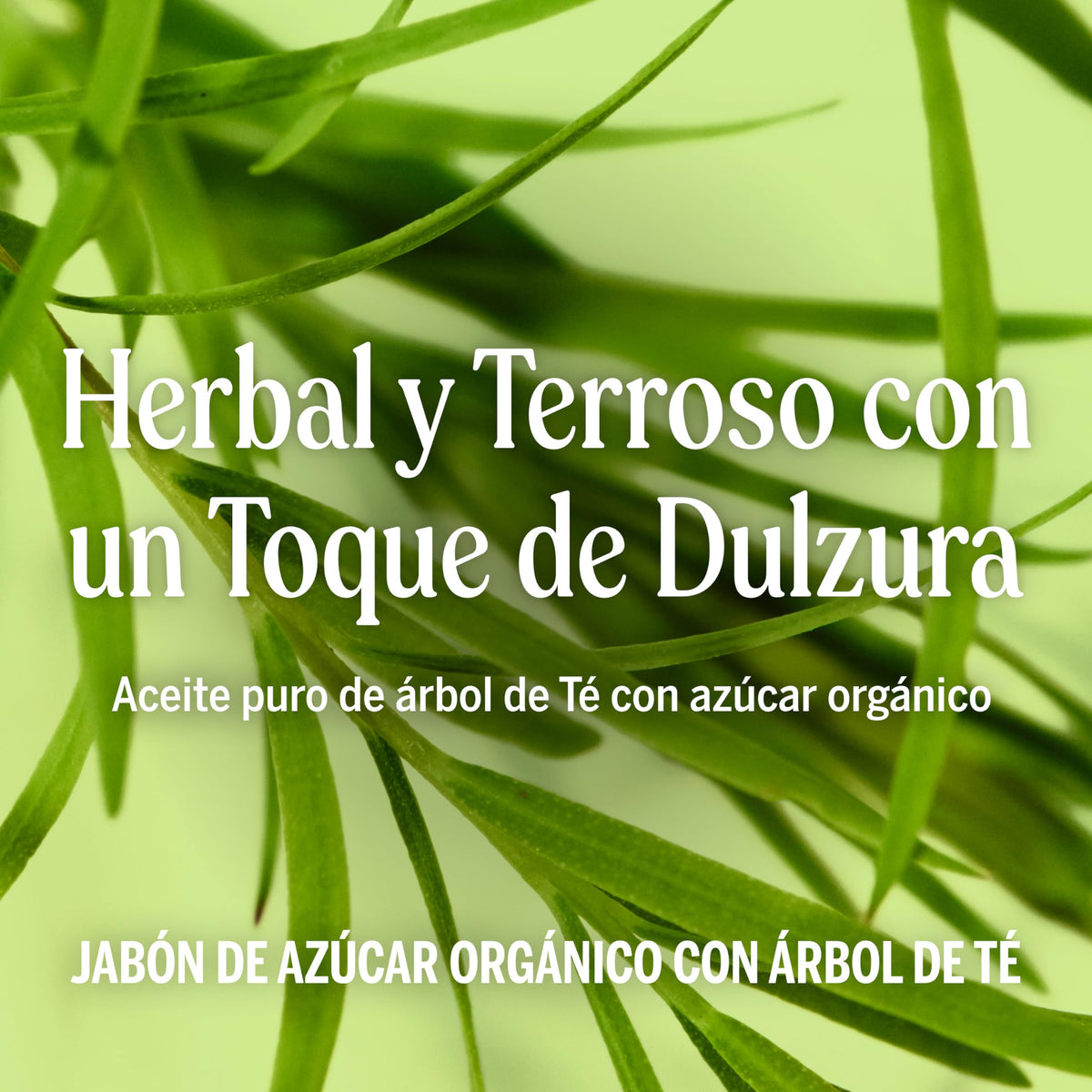 Dr. Bronner's | Jabón líquido de azúcar orgánico, hidratante y nutritivo, para manos, cuerpo, rostro y cabello; certificado vegano - Árbol de Té, 710 ml