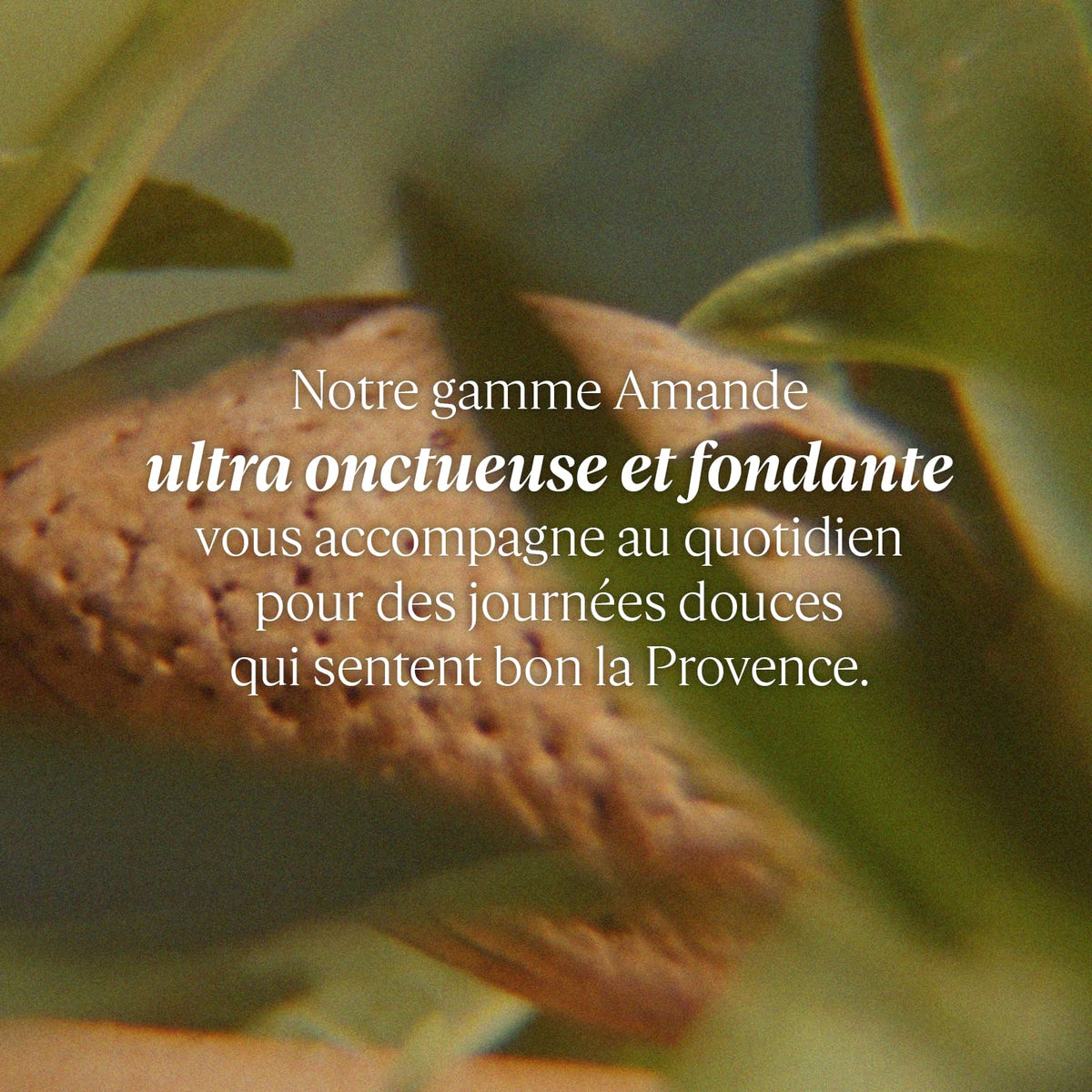 Concentrado de Leche de Almendra, L'Occitane 200ml
