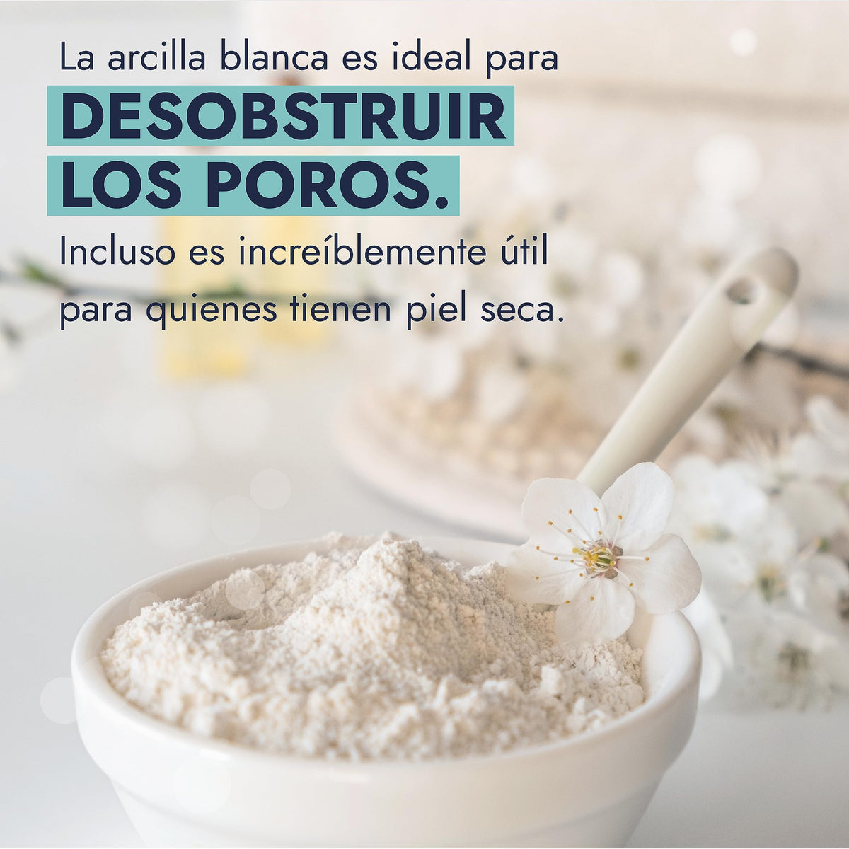 Hebbe Arcilla Blanca Caolín 1 Kg | Arcilla Para Mascarilla Facial y Corporal | Absorbe Oleosidad y Purifica | Limpieza Profunda y Efecto Suavizante