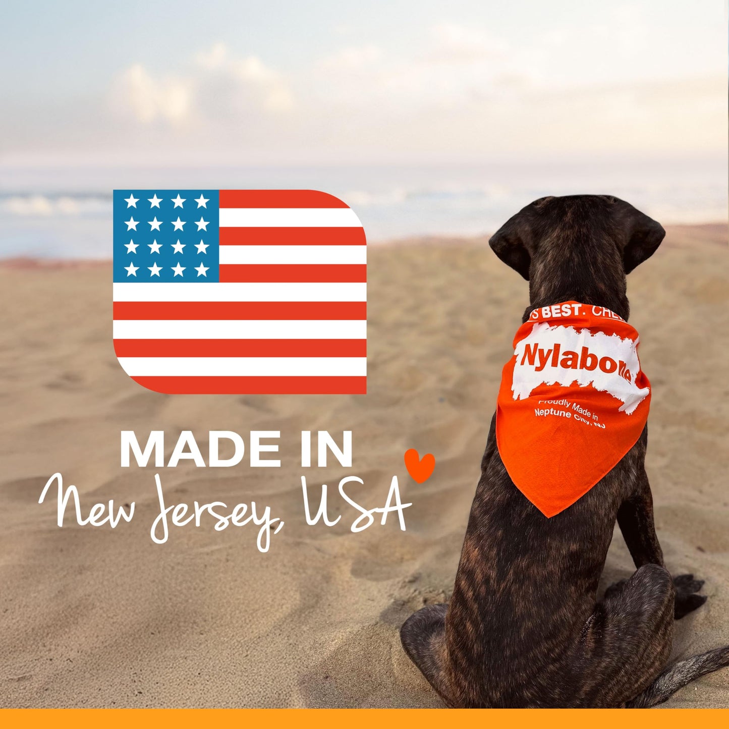 Hueso Masticable Nylabone Tocino y Pay de Manzana para Perros Regular Twin Pack