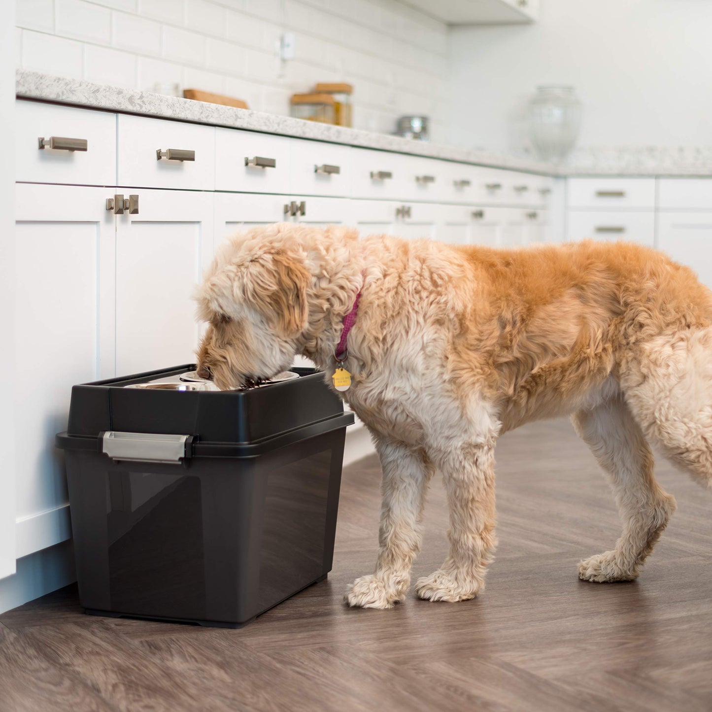 Comedero Elevado Grande IRIS USA Humo Negro con Contenedor Hermético y Tazones Removibles para Mascotas