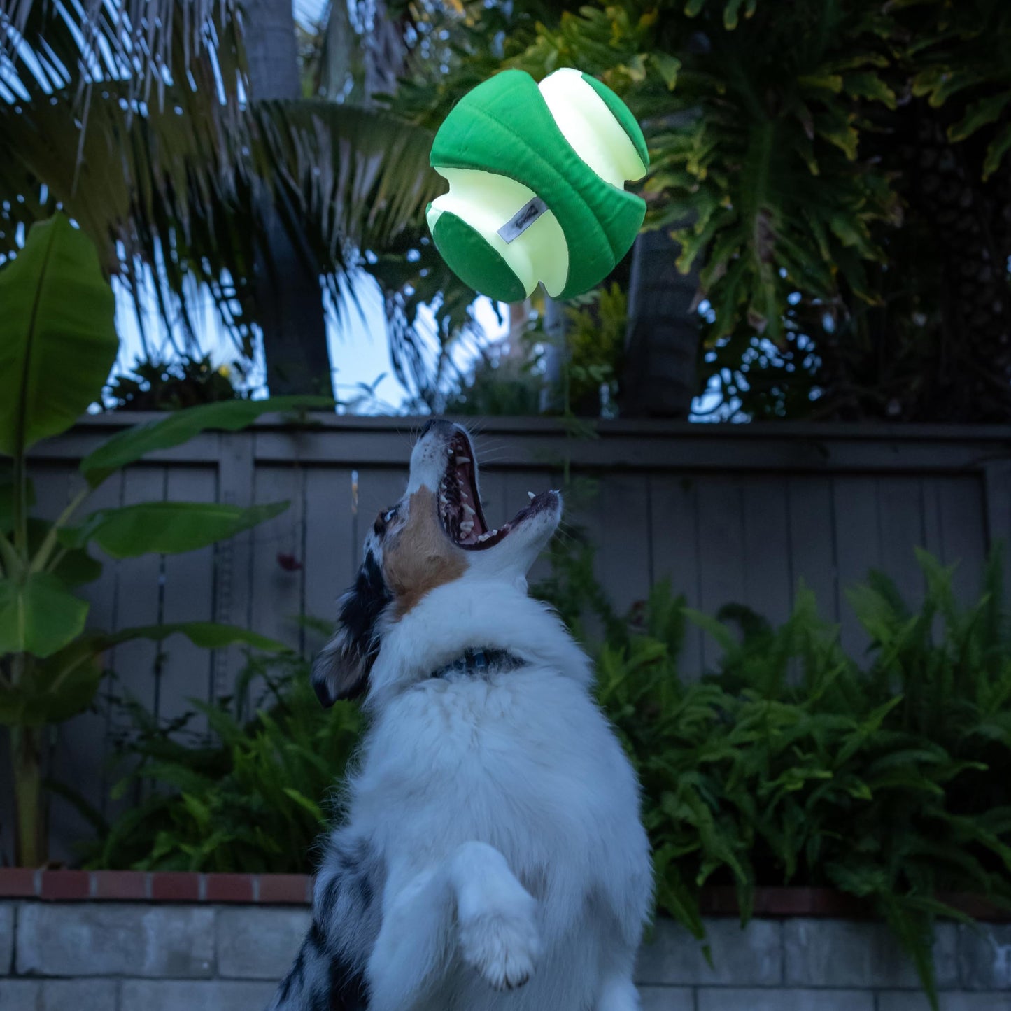 Chuckit! Kick Fetch Pelota de Juguete para Perros, MAX Glow, Large