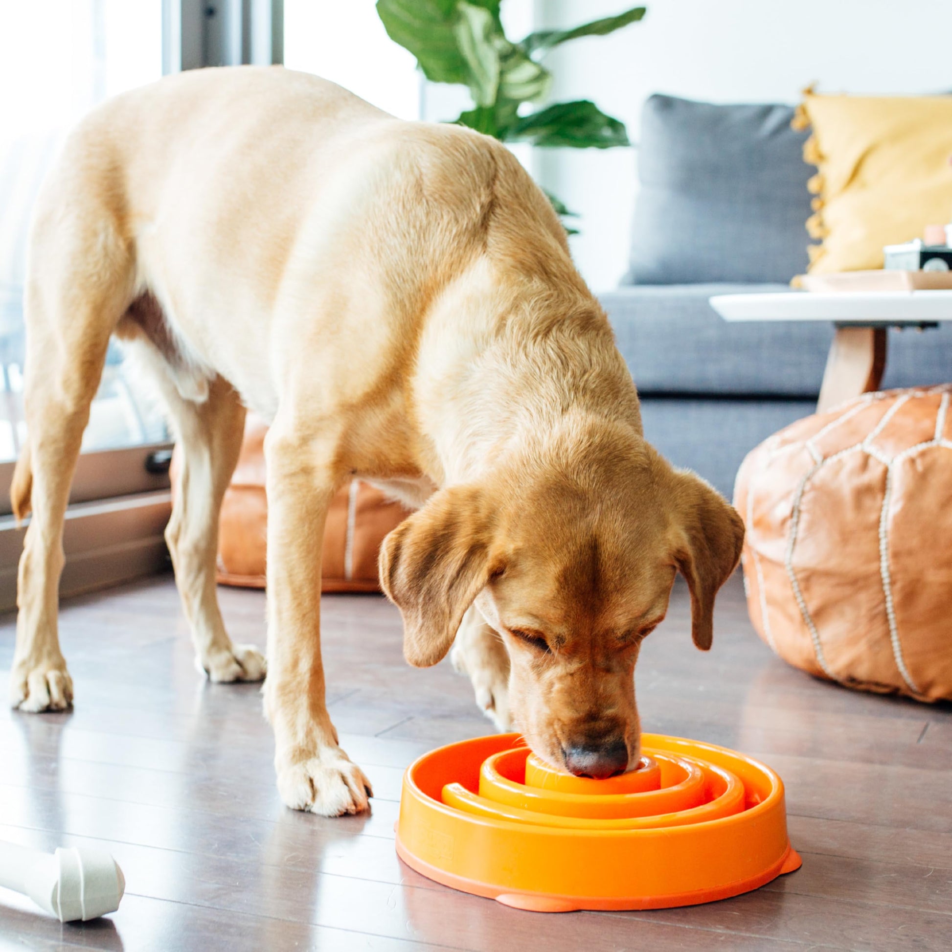 Comedero Divertido Outward Hound Anaranjado para Alimentación Lenta para Perros Large