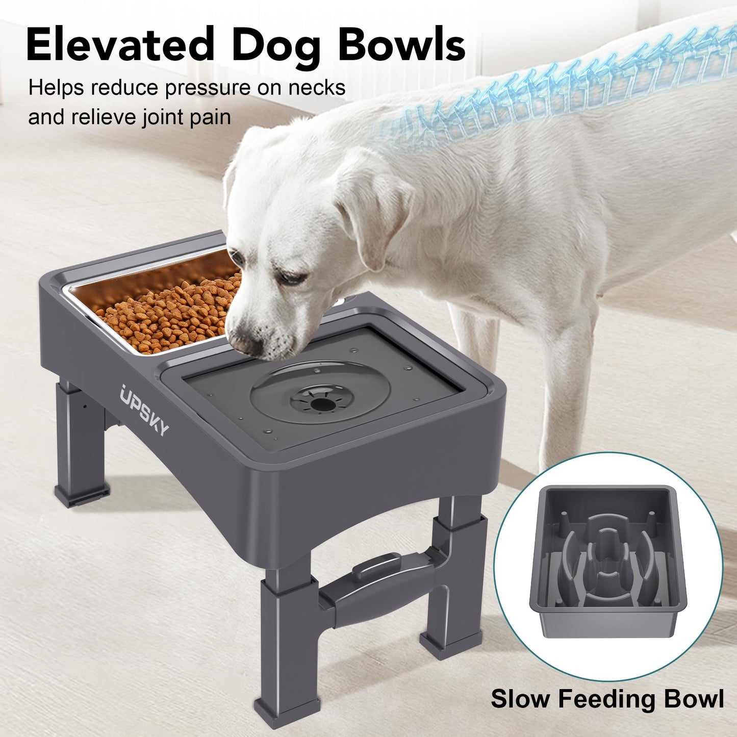 Cuencos Elevados UPSKY 4 Alturas Ajustables comedero Lento y dispensador de Agua Acero Inoxidable para Perros