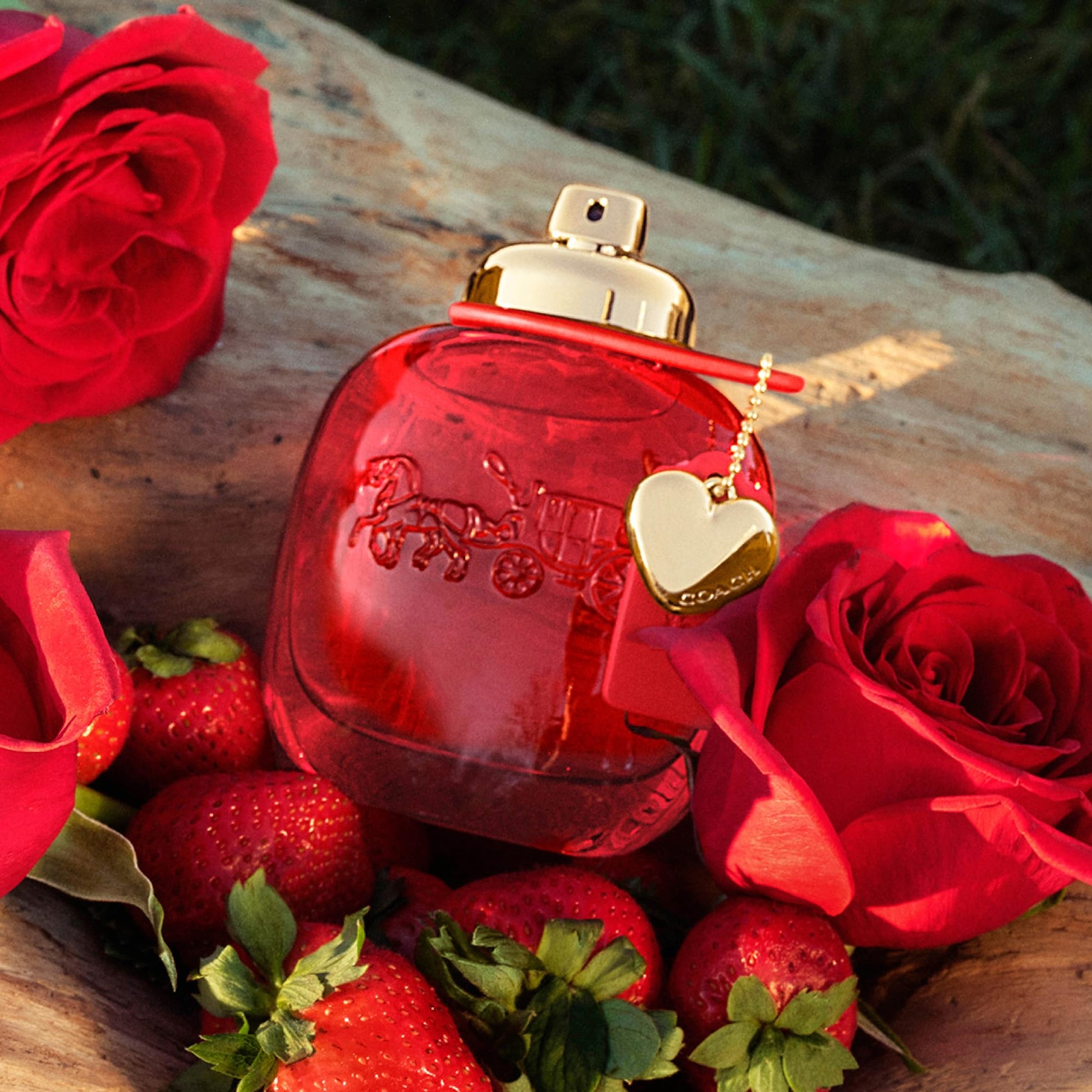 Coach Love by Coach for Women - 3 oz EDP Spray