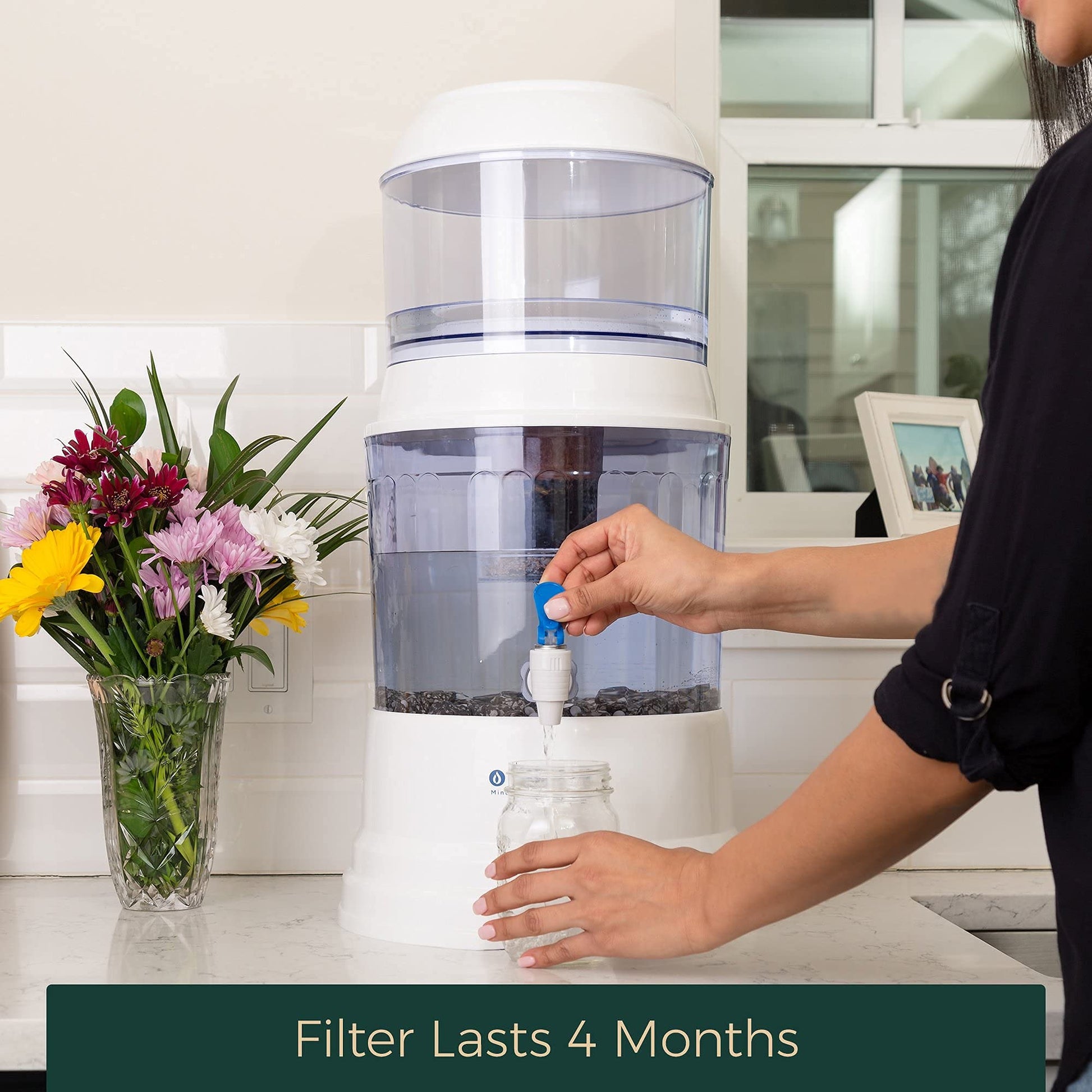 Filtro de repuesto alcalino y fluoruro para el sistema de agua por gravedad por Santevia Water Systems | Filtro de agua en casa que hace que el agua alcalina y agrega minerales | Filtra cloro y fluoruro