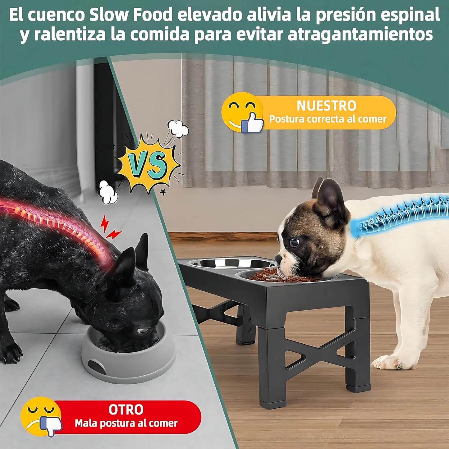 Cuencos Elevados EKEJLI Negro para Perros Medianos y Grandes Ajustables y Portátiles