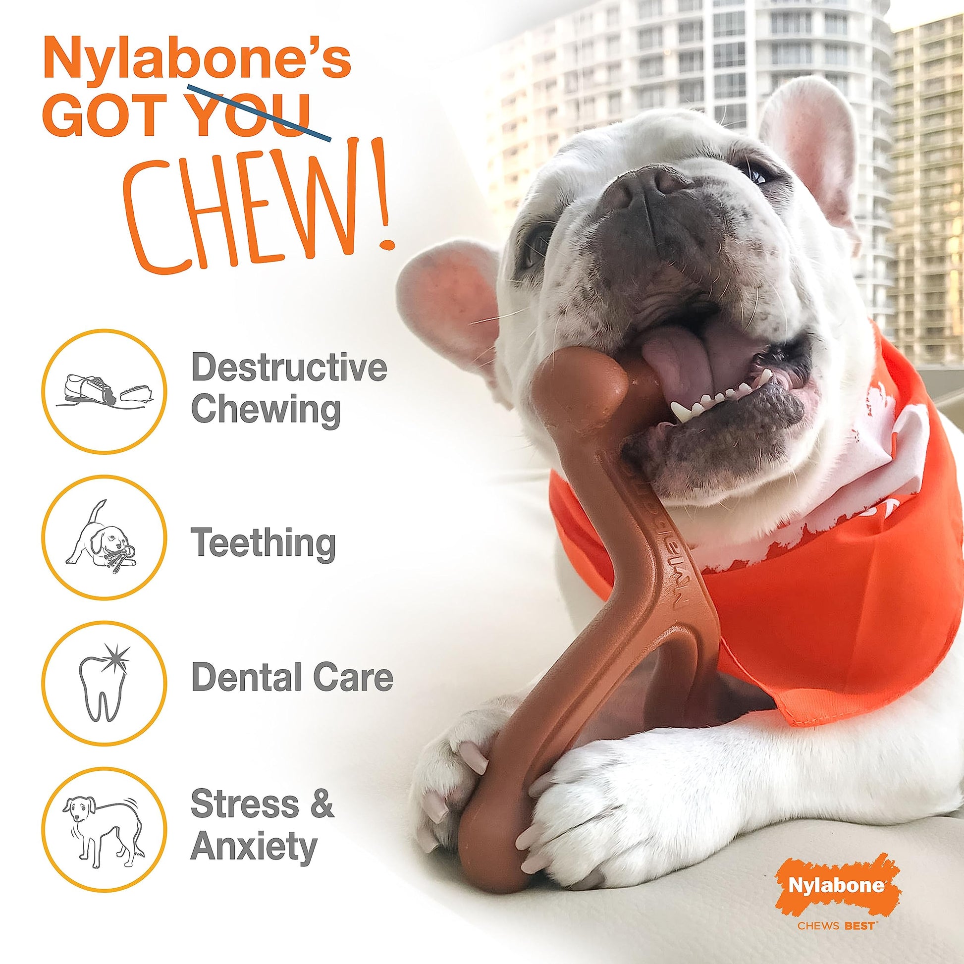 Juguete Masticable Nylabone Sabor Frenzy Grande Gigante para Perros, Paquete Doble