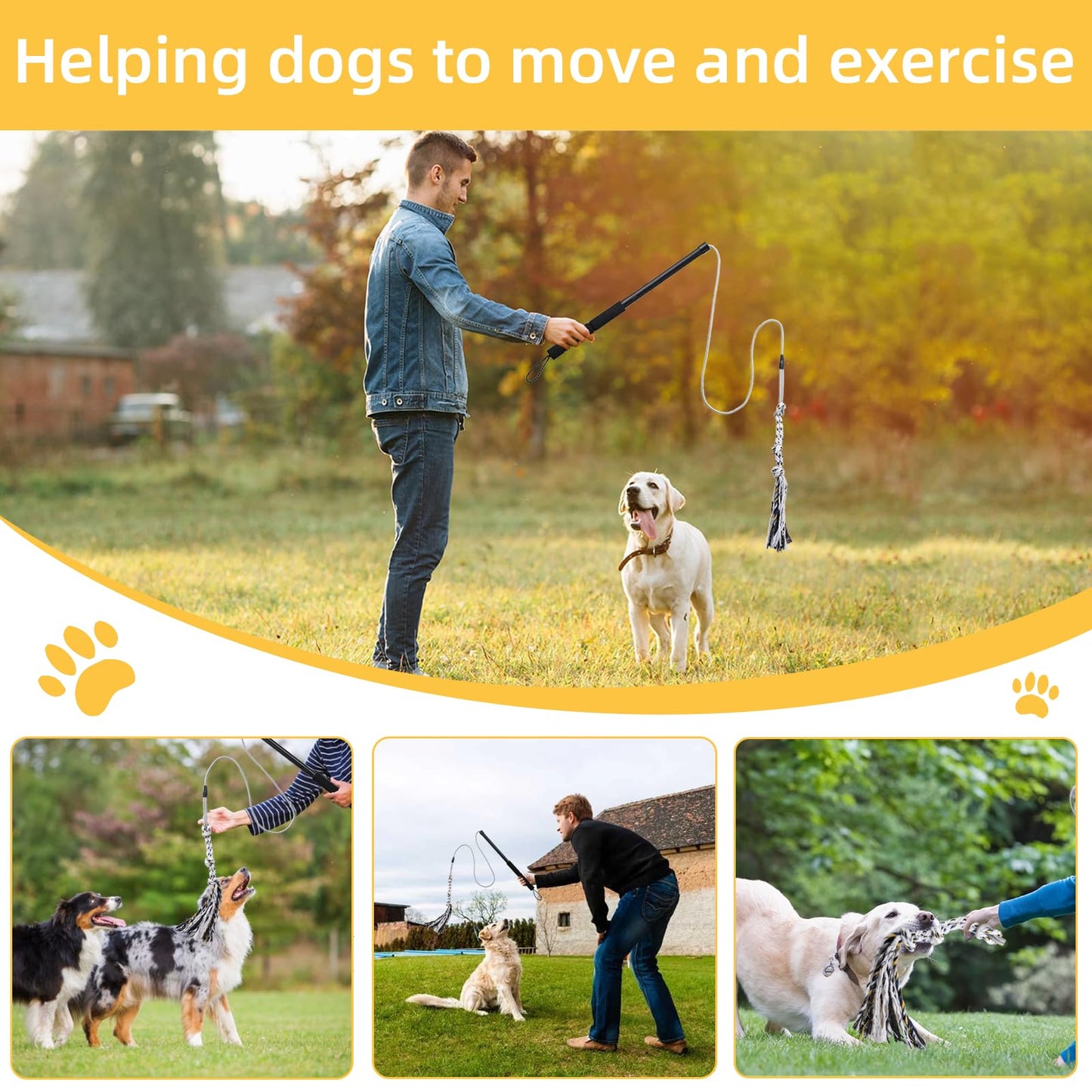 Gingull - Varita de coqueteo para perros – Varita interactiva para perros Chase and Tug of War - Barra de coqueteo para perros de alta resistencia, juguetes para masticar para dentición, juguetes