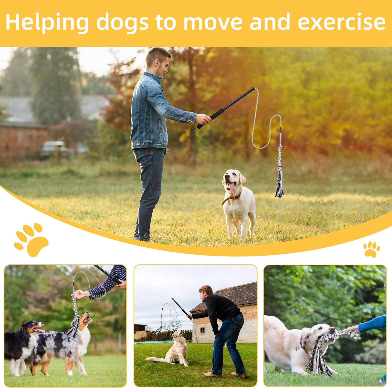 Gingull - Varita de coqueteo para perros – Varita interactiva para perros Chase and Tug of War - Barra de coqueteo para perros de alta resistencia, juguetes para masticar para dentición, juguetes