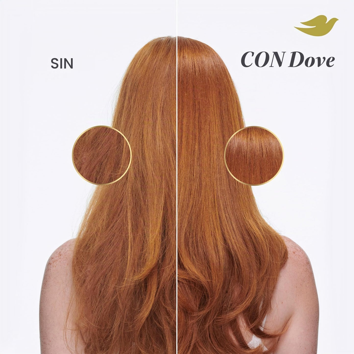 Dove Hair Intensive Repair 10in1 Serum Mask for Damaged Hair with Bio-protein Care Technology and Amino 9.2 Fl Oz
