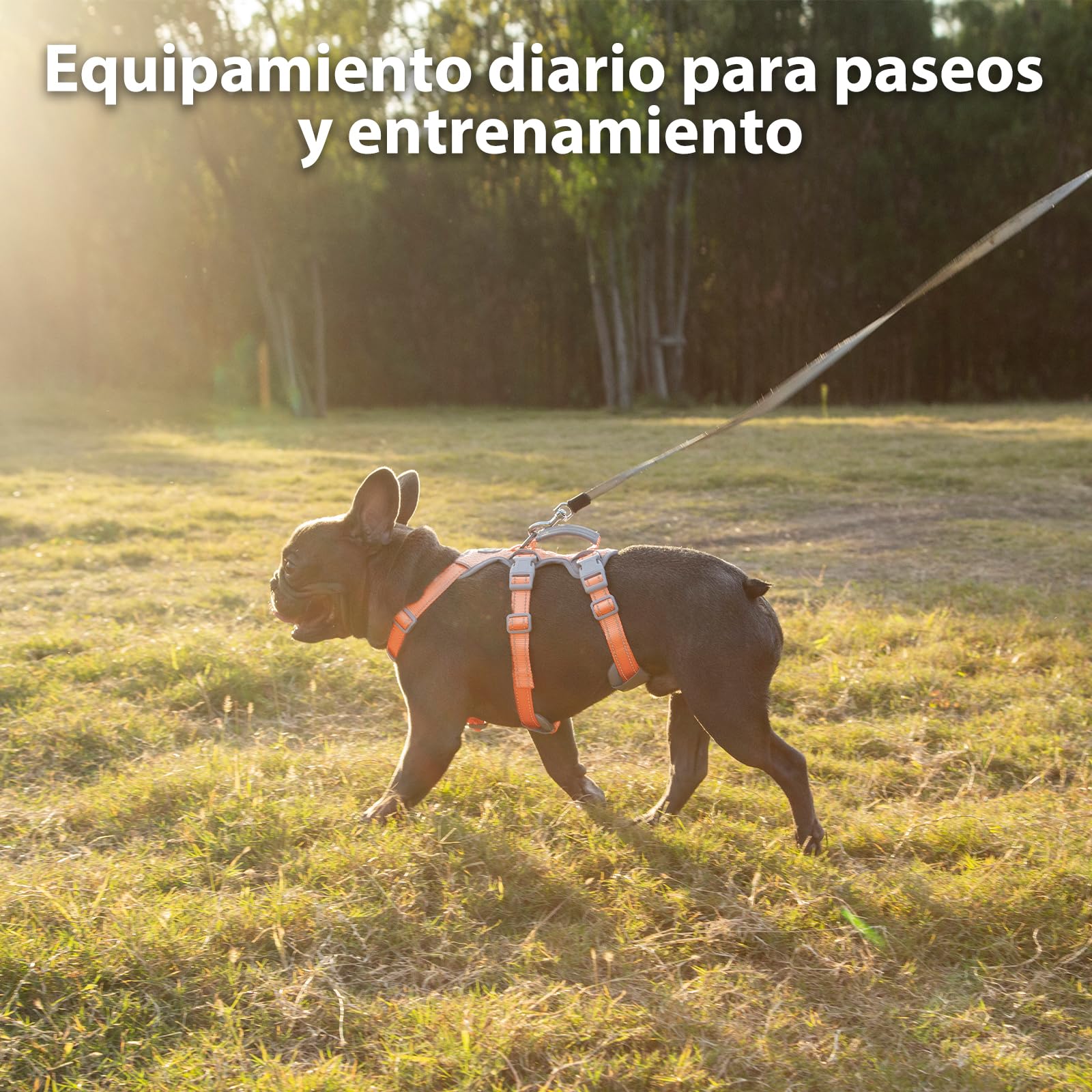 Arneses para perros a prueba de fugas, arnés seguro para perros sin escapes, arnés totalmente reflectante con asa acolchada, transpirable, chaleco ajustable para perros grandes de paseo(Naranja,L）
