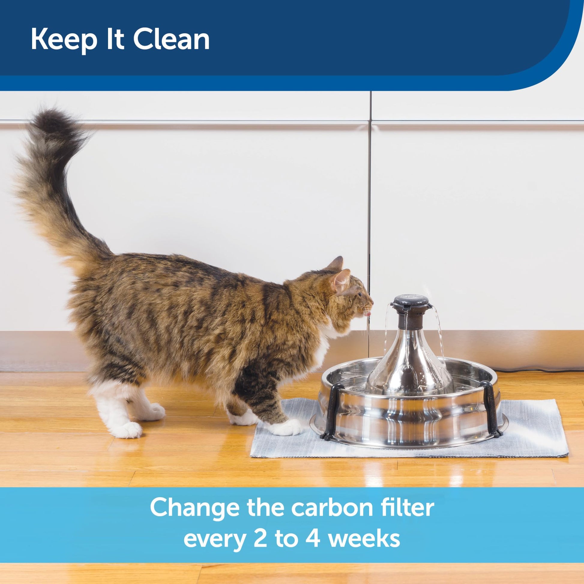 Filtros de Carbón Premium PetSafe Drinkwell 360 para Fuente de Agua de Perros y Gatos Paquete de 12