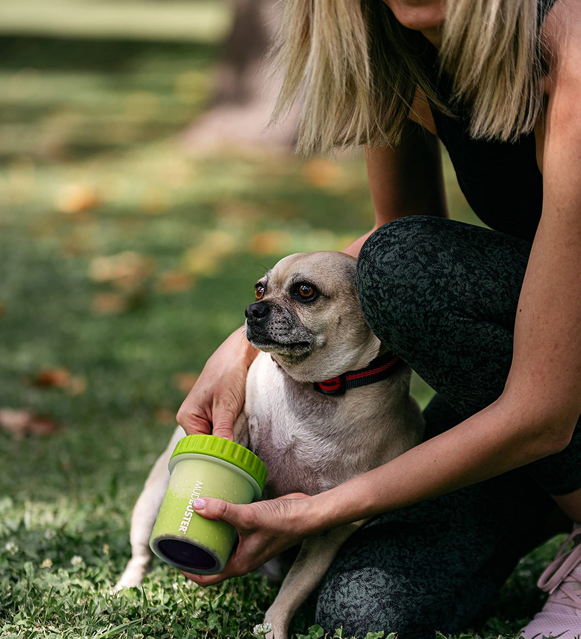 Dexas MudBuster Limpiador portátil para patas de perro, Verde, Pequeño