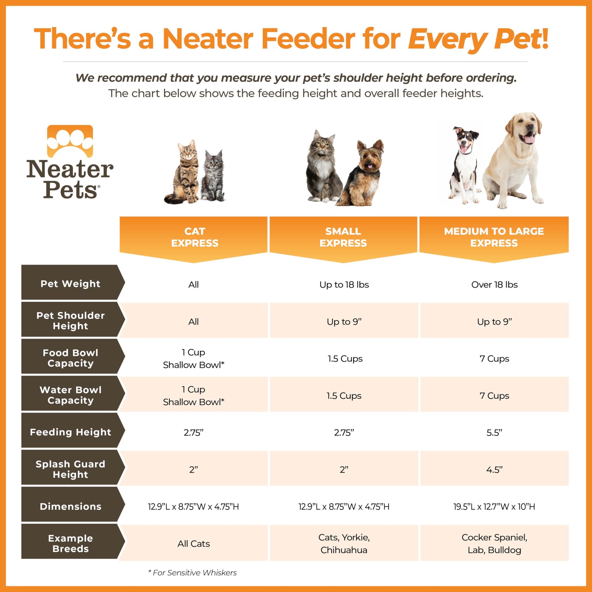 Comedero Neater Feeder Plomizo con Cuencos de Acero Inoxidable y Antideslizantes para Gato