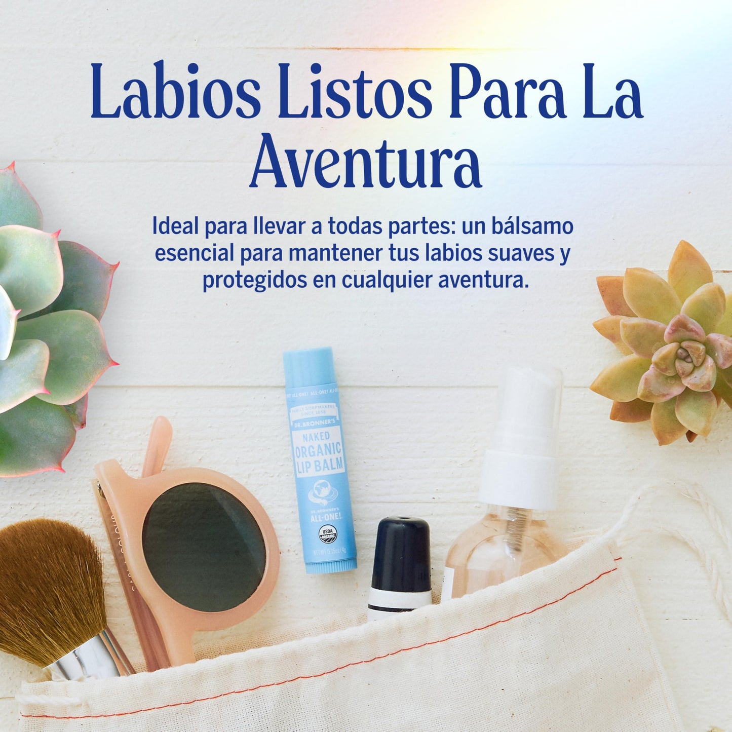 Dr. Bronner's | Bálsamo labial orgánico nutritivo y protector, fórmula natural - Sin Aroma, 4 g (6 Pack)