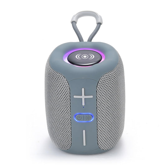 CONTROL EXPERT Bocina Bluetooth 8W Mini Bocina Portatil con Función Radio FM/USB/TF, Compatible con Phone, Tablet, Computadores, Ideal para Viajar y Campear (Gris)