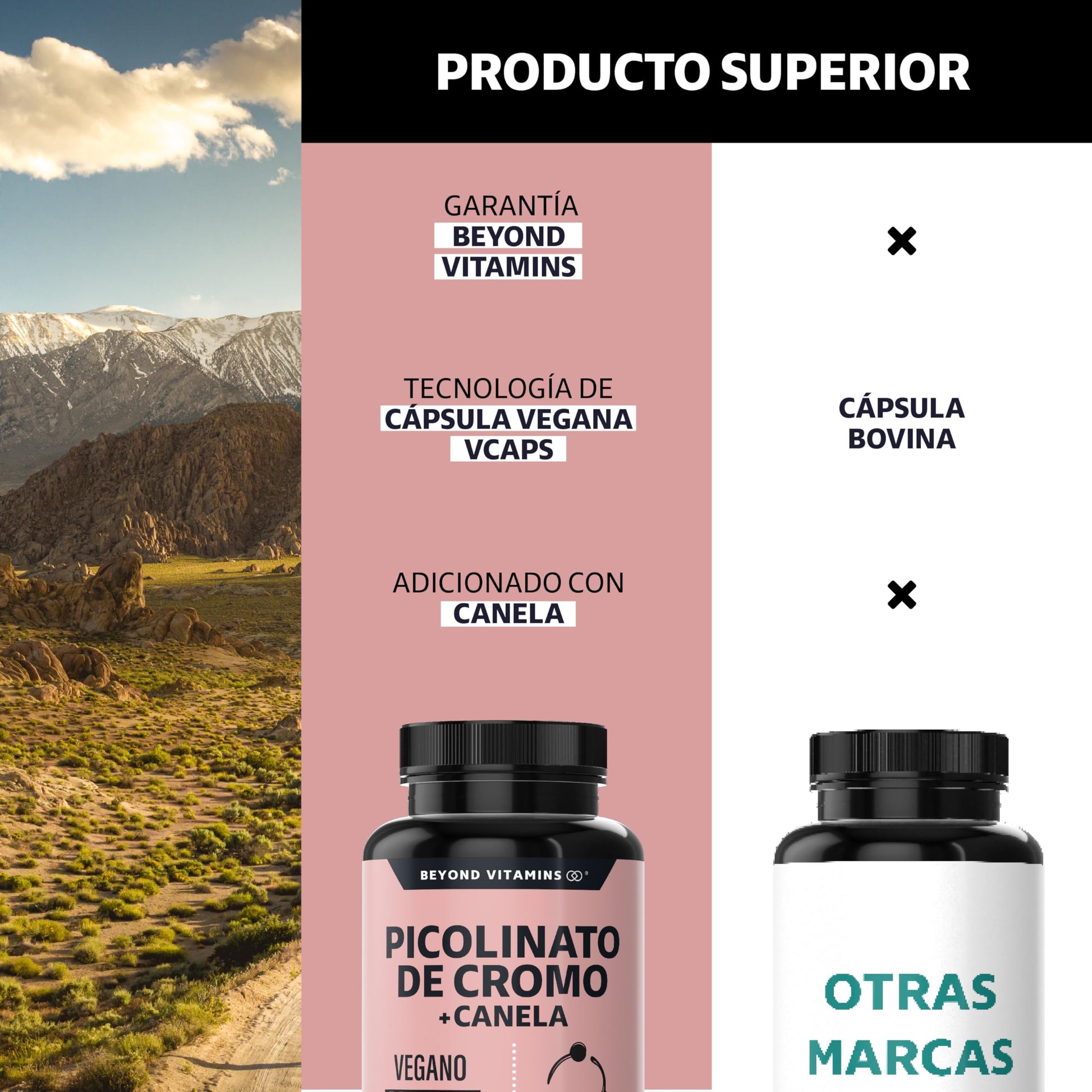 Beyond Vitamins | Picolinato de Cromo con Canela, Cápsulas VCaps, 1 cápsula diaria (60 Cápsulas)