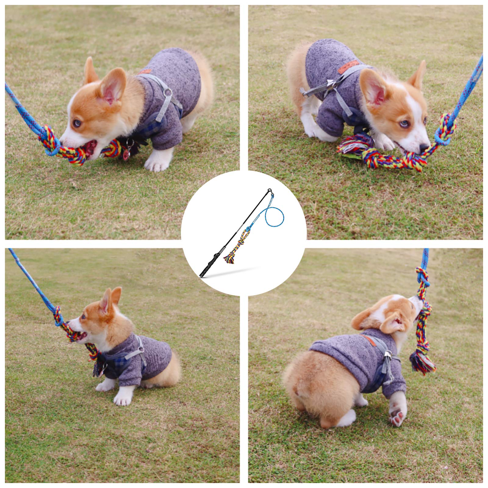 DIBBATU Juguete de poste de coqueteo para perros, varita interactiva para perros, tirón de guerra y ejercicio al aire última intervensión, juguete de señuelo de correa con cuerda de masticar para perseguir y entrenar para perros pequeños