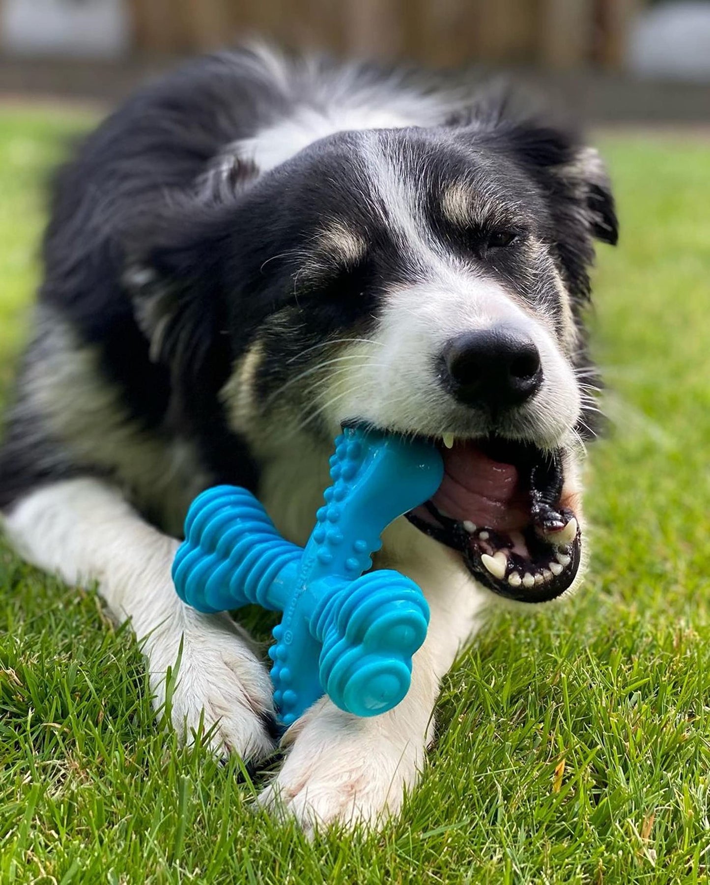 Juguete para Masticar Nylabone Dura Chew "X" Sabor Res para Perro