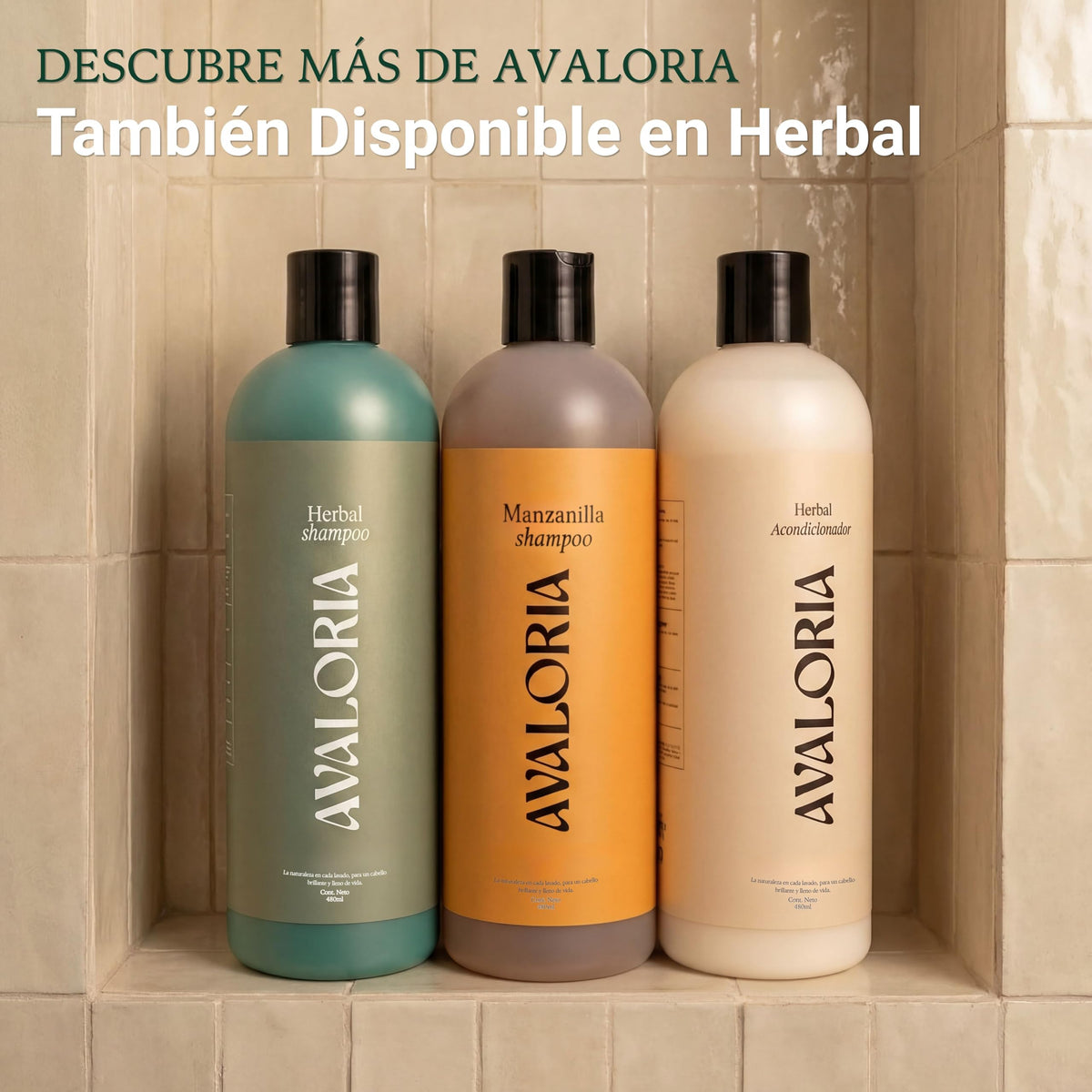 Avaloria Shampoo de Manzanilla Sin Sulfatos, Parabenos ni Sales – para Brillo y Anticaída – Extracto 100% Natural con 10 Hierbas – Hidratación, Brillo y Crecimiento – Herbal - 480 ml