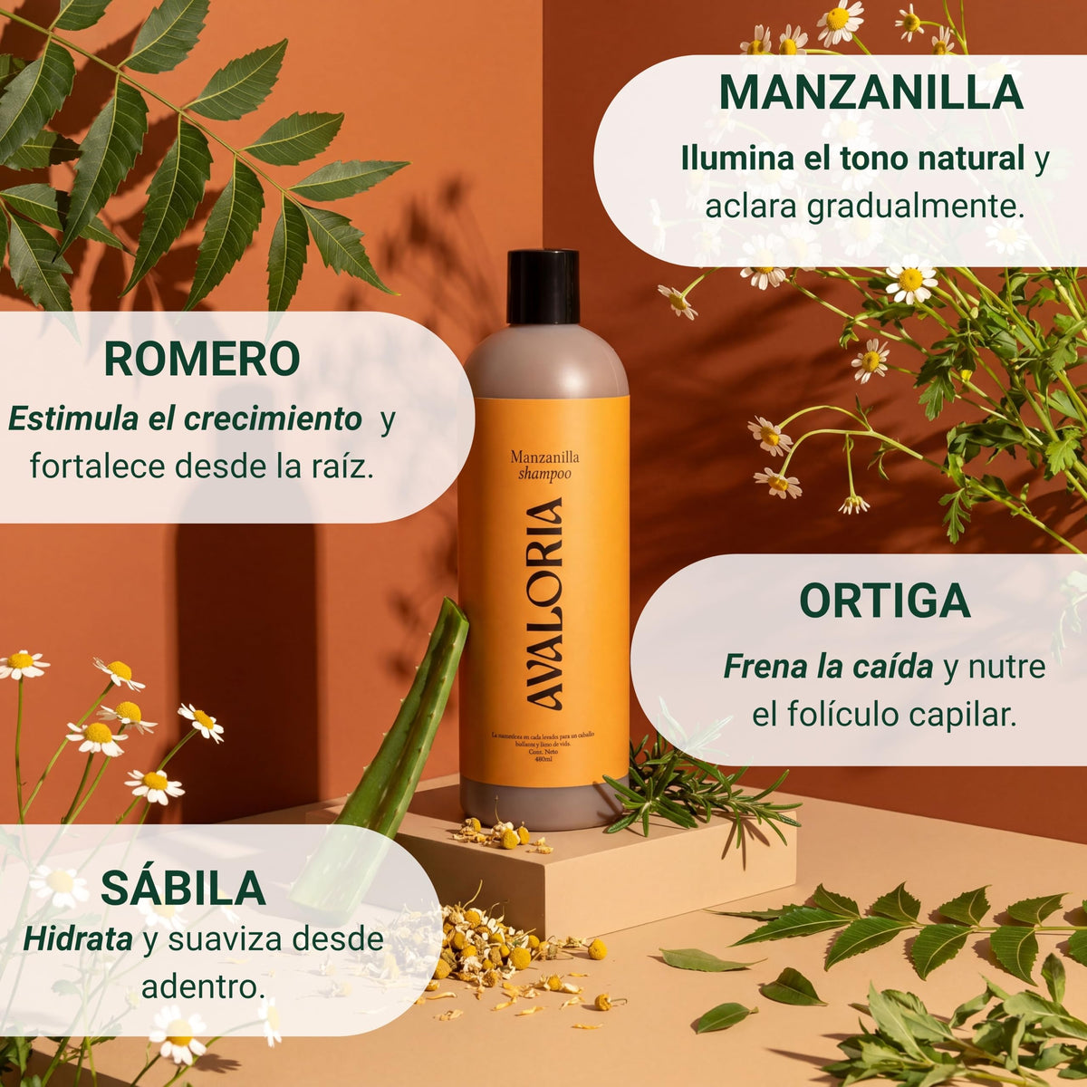 Avaloria Shampoo de Manzanilla Sin Sulfatos, Parabenos ni Sales – para Brillo y Anticaída – Extracto 100% Natural con 10 Hierbas – Hidratación, Brillo y Crecimiento – Herbal - 480 ml