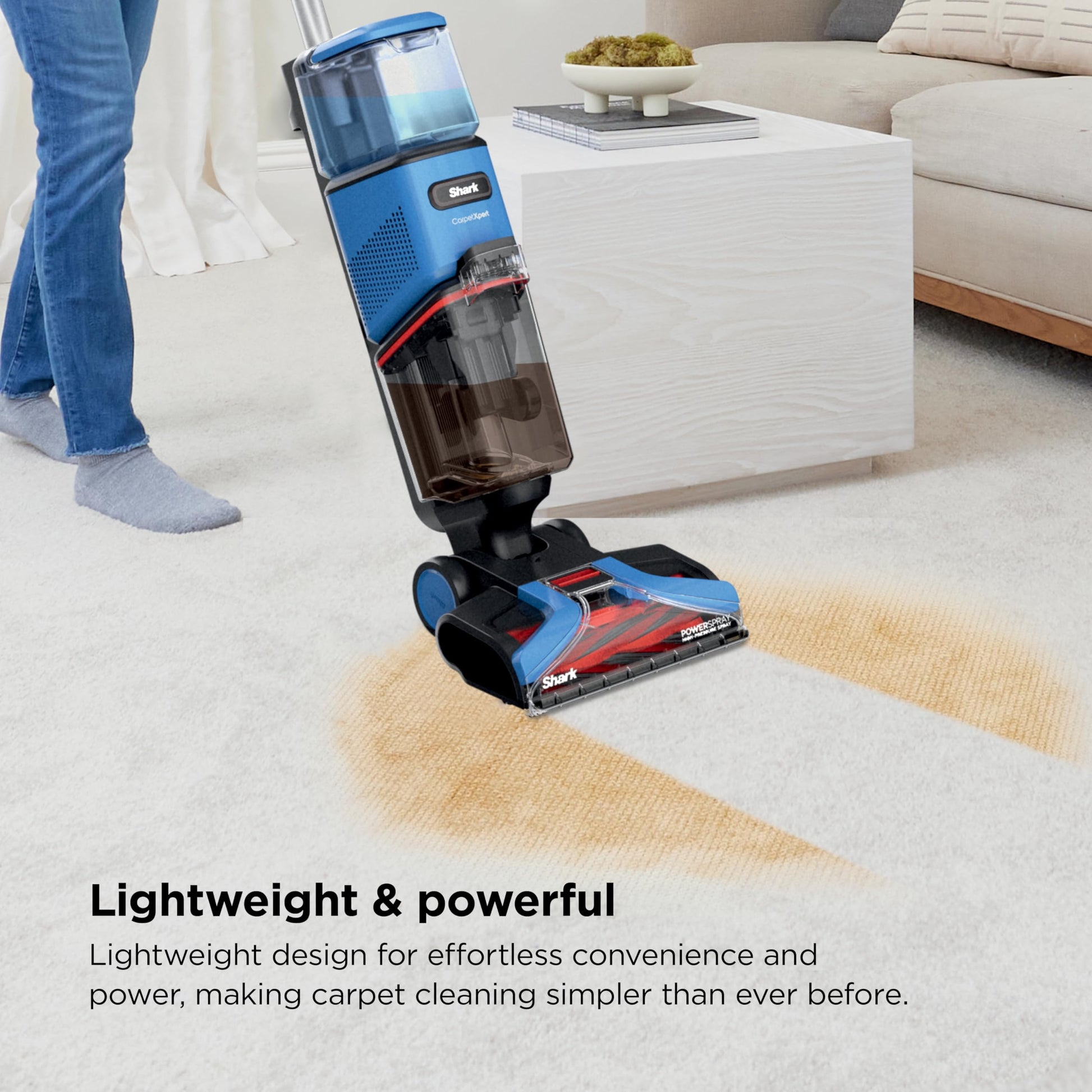 Limpiador Vertical de Alfombras Shark CarpetXpert Azul Ligero y Potente para Mascotas
