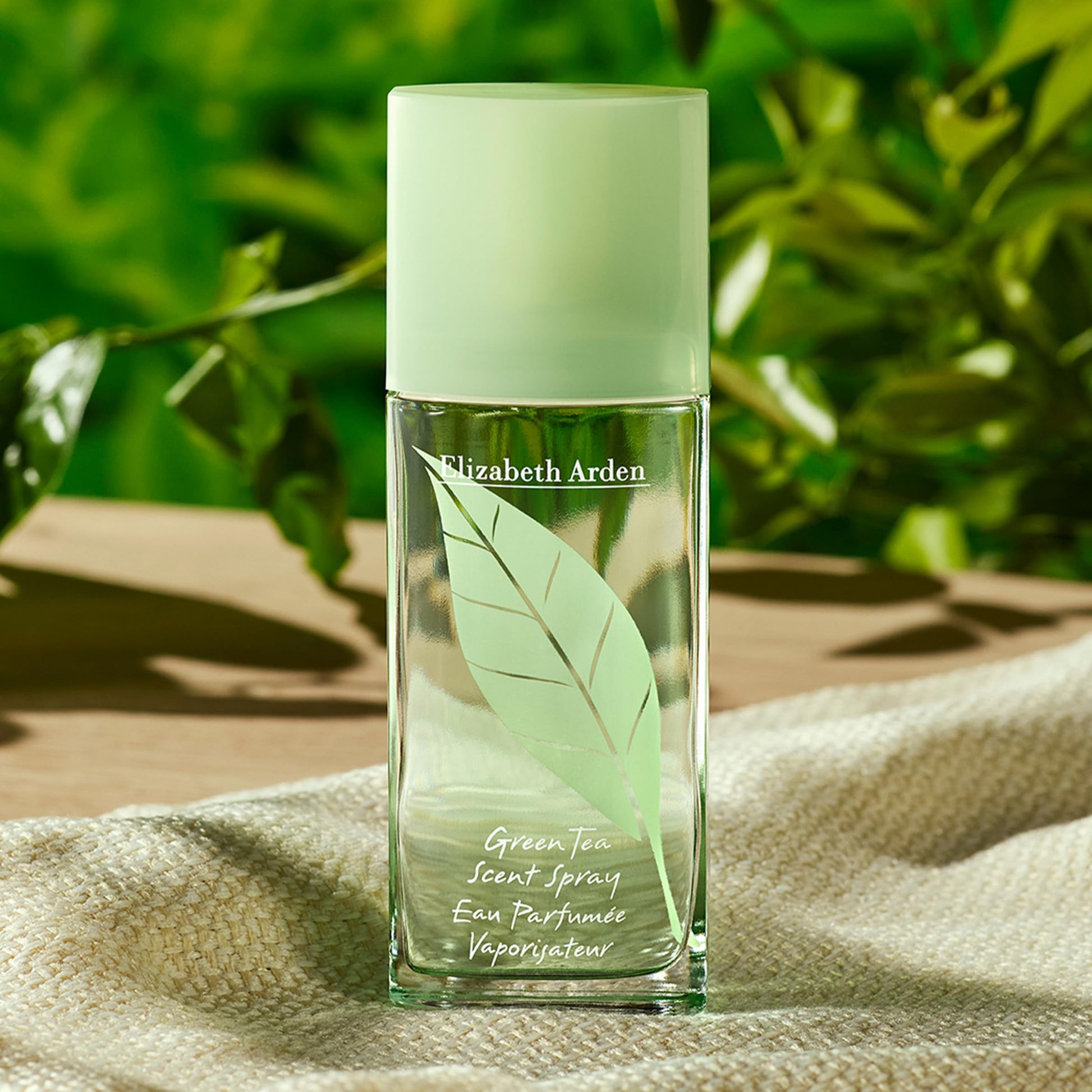 Green Tea by Elizabeth Arden for Women - 3.4 oz Scent Spray