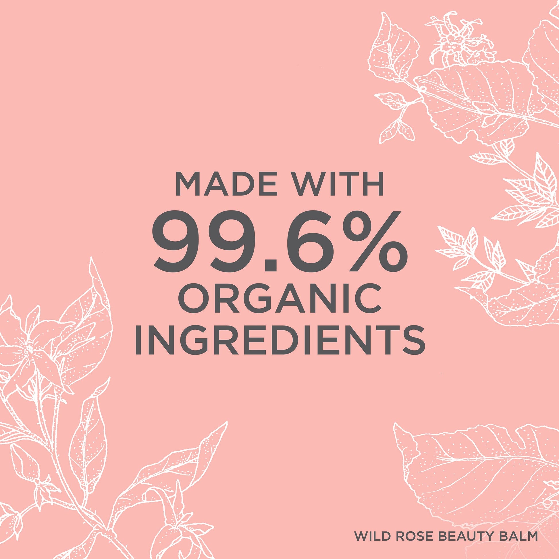 Neal's Yard Remedies Eye Care & Treatments Wild Rose Beauty Balm (with muslin) 50g by Neal's Yard Remedies