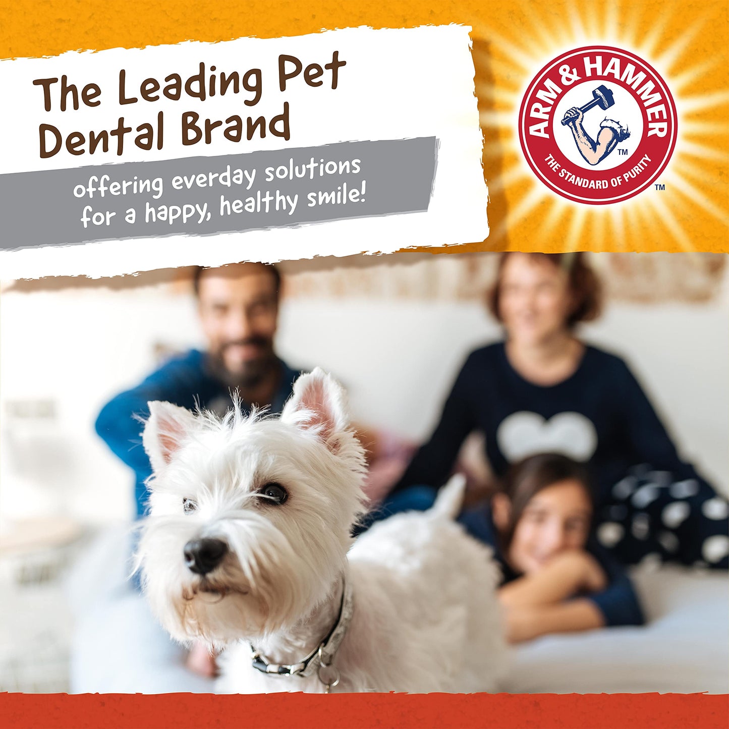 Arm & Hammer Juguete para Perro Mini Gorilla, Limpia Dientes y Reduce Sarro, Ultra Resistente, 1pza