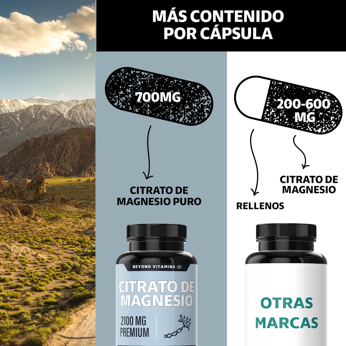 Beyond Vitamins | Citrato de Magnesio 2100mg | Citrato de Magnesio sin rellenos | Suplemento alimenticio de Magnesium Citrate | 60 caps