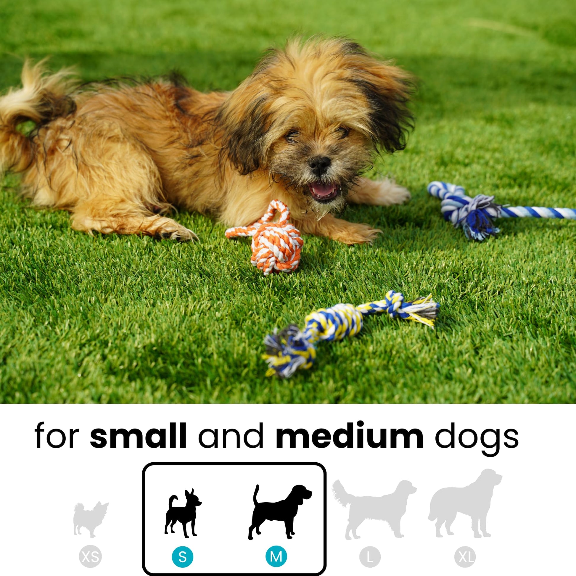 Juguete de Cuerda Otterly Pets Multicolor Pack de 6 para Cachorros Pequeños