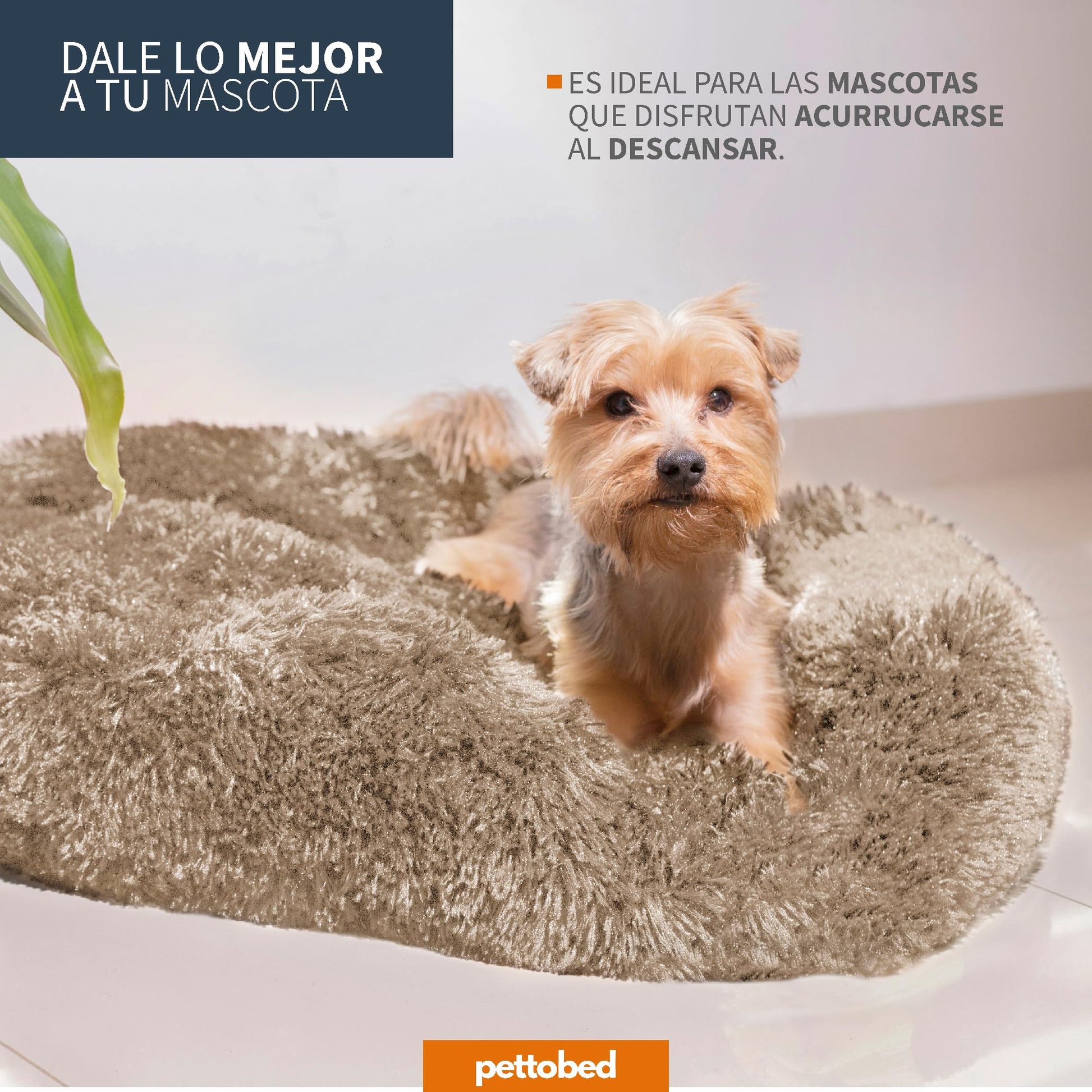 Cama para Perros PET TO BED Beige Antiestrés Redonda y Esponjosa Mediana