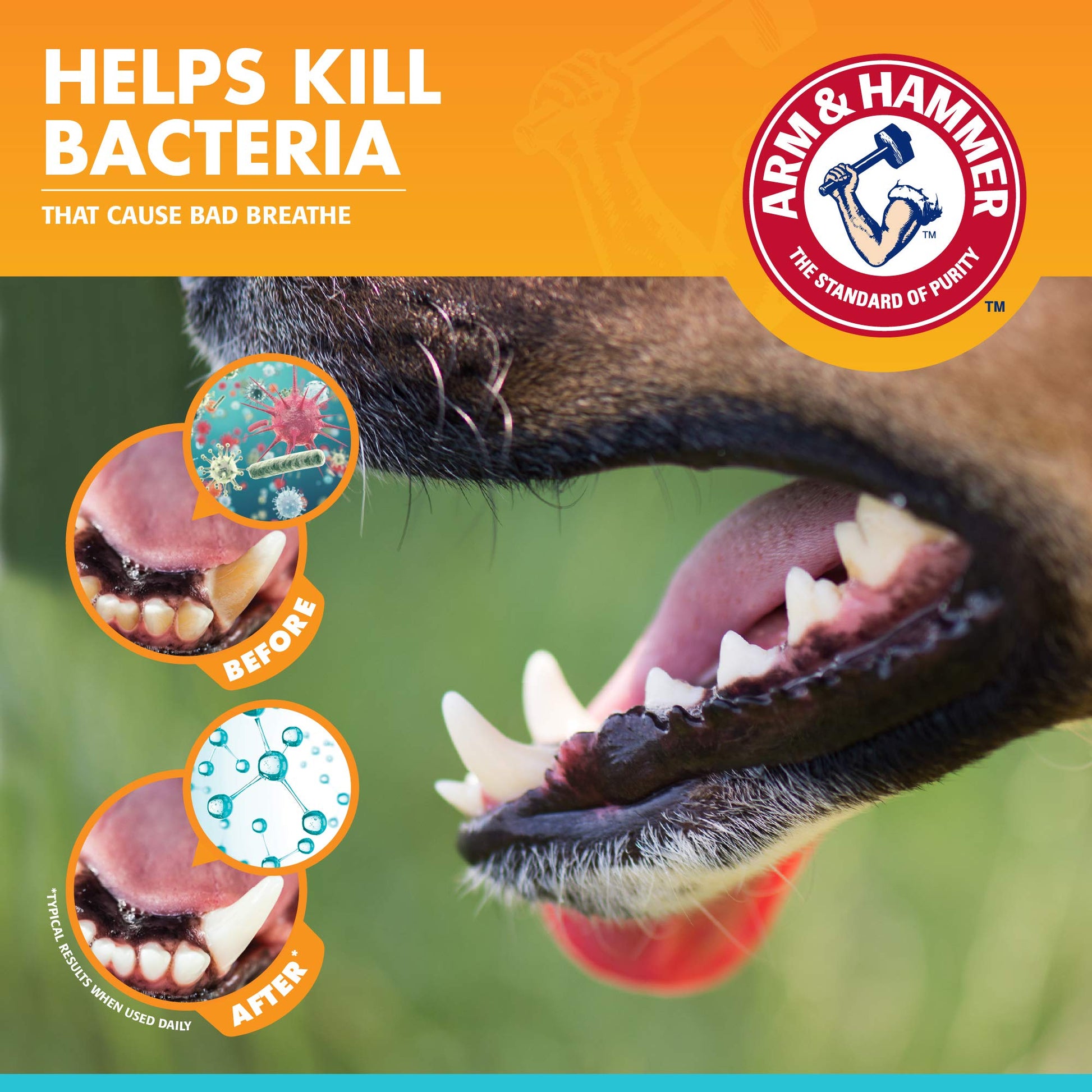 Arm and Hammer Advanced Care Fresh Breath and Whitening Toothpaste, Toothbrush and Finger Toothbrush Set for Dogs