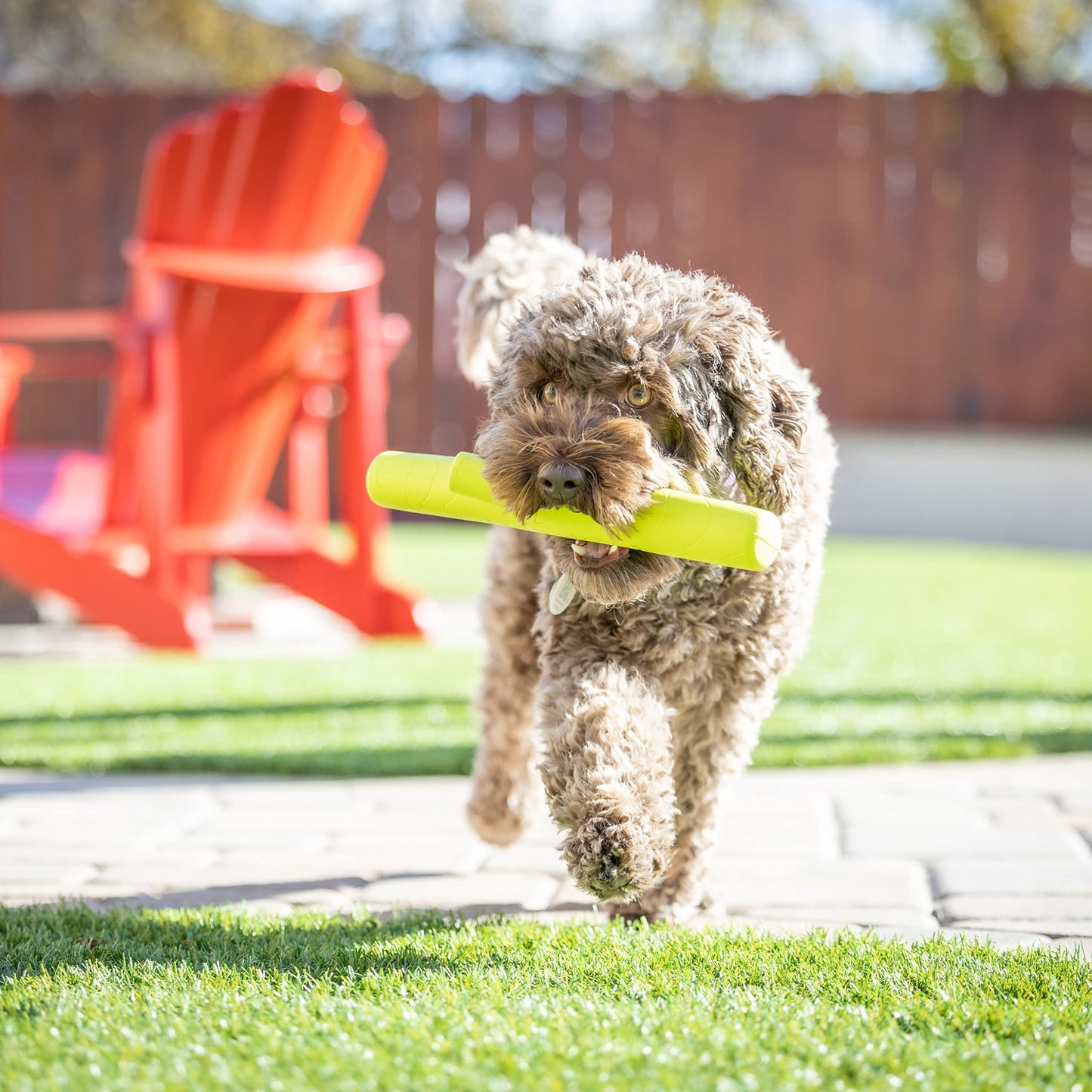 Hyper Pet Chewz juguetes para perros grandes (pelota de perro, hueso de perro y perro Stick perro masticar) [ligero, resistente espuma EVA juguete para perro es seguro en los dientes, fácil de limpiar, y flota en el agua para juego interactivo], verde, ta