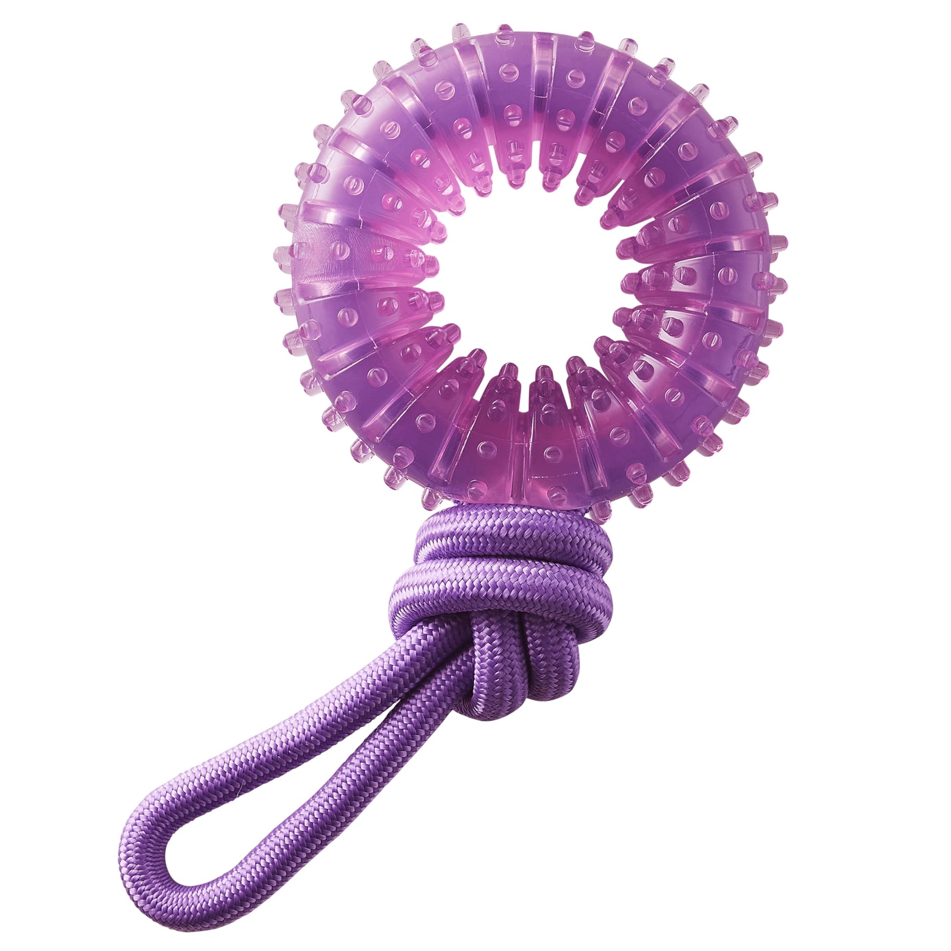 Juguete Dental y Tirador Outward Hound Morado para Perro
